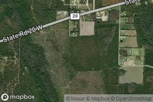 Reedy Creek