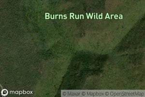 Owl Run