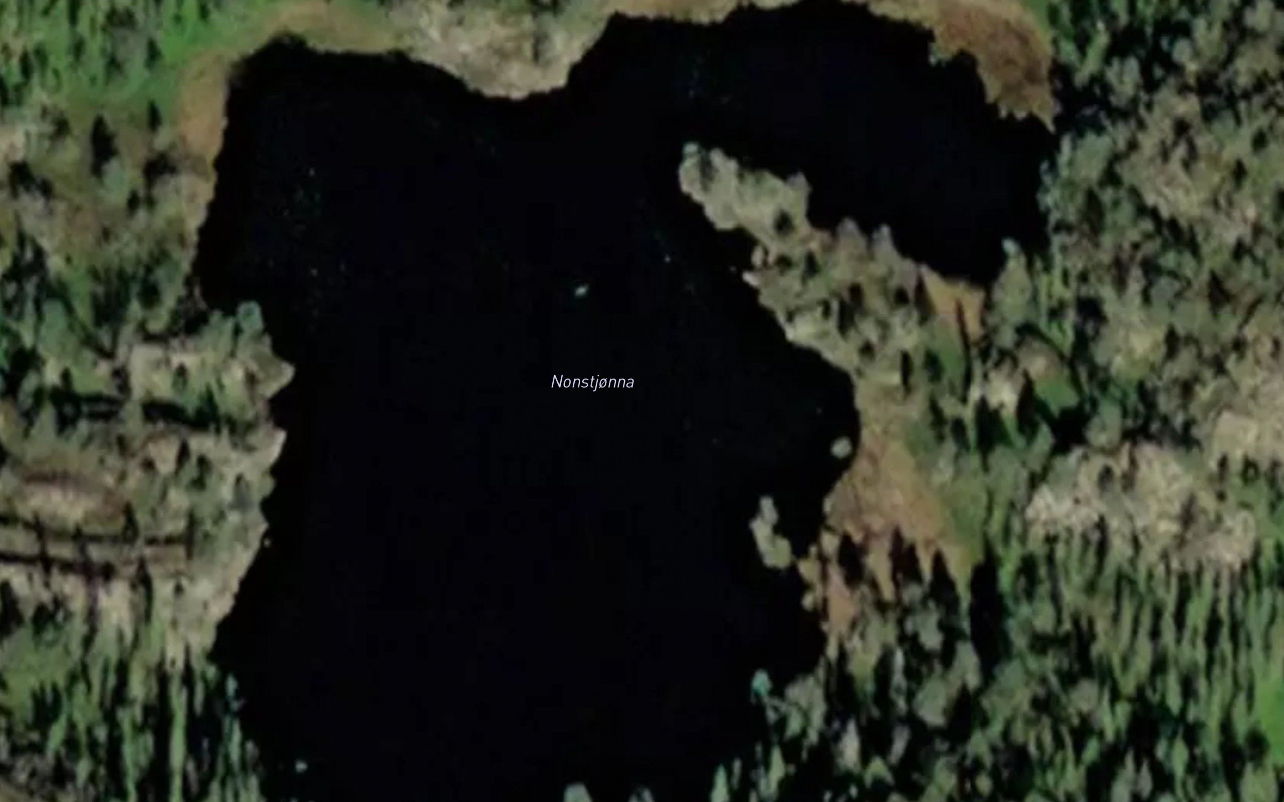 Nonstjorn