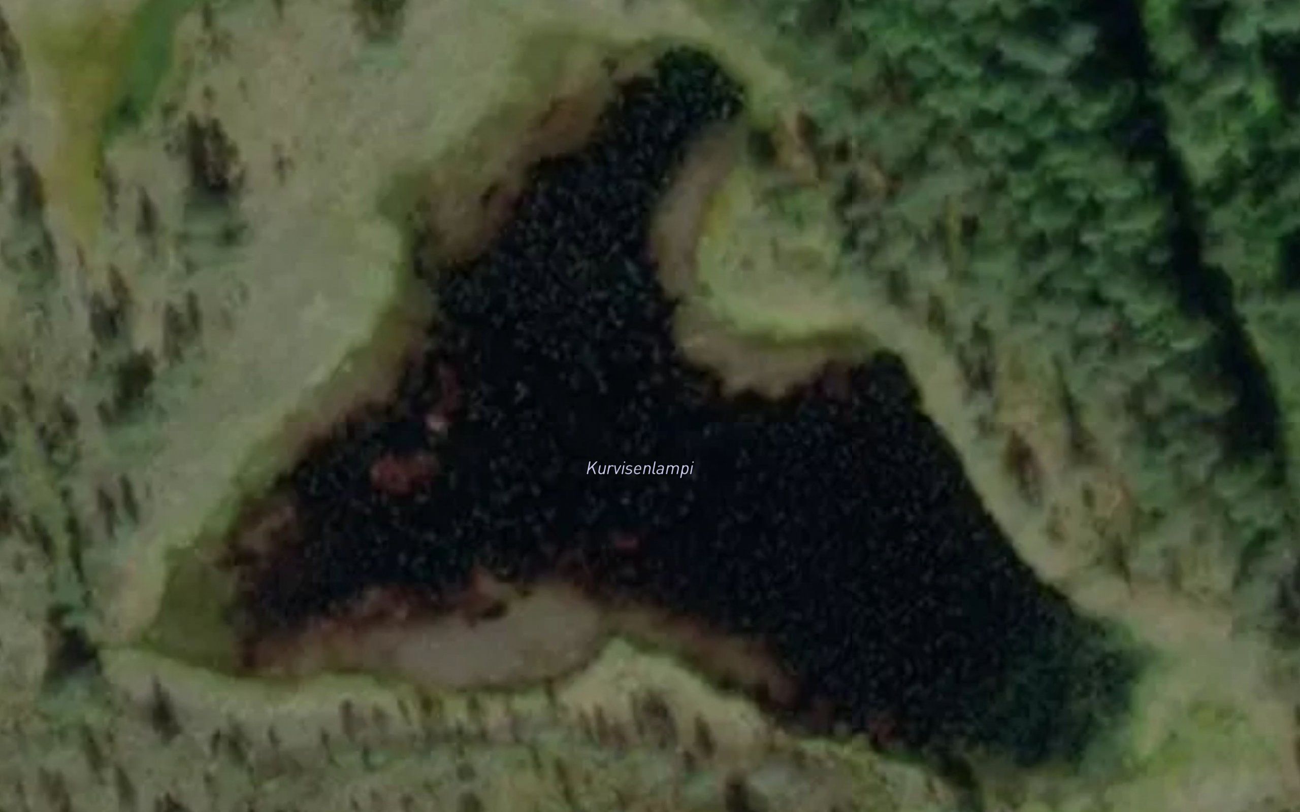 Kurvisenlampi