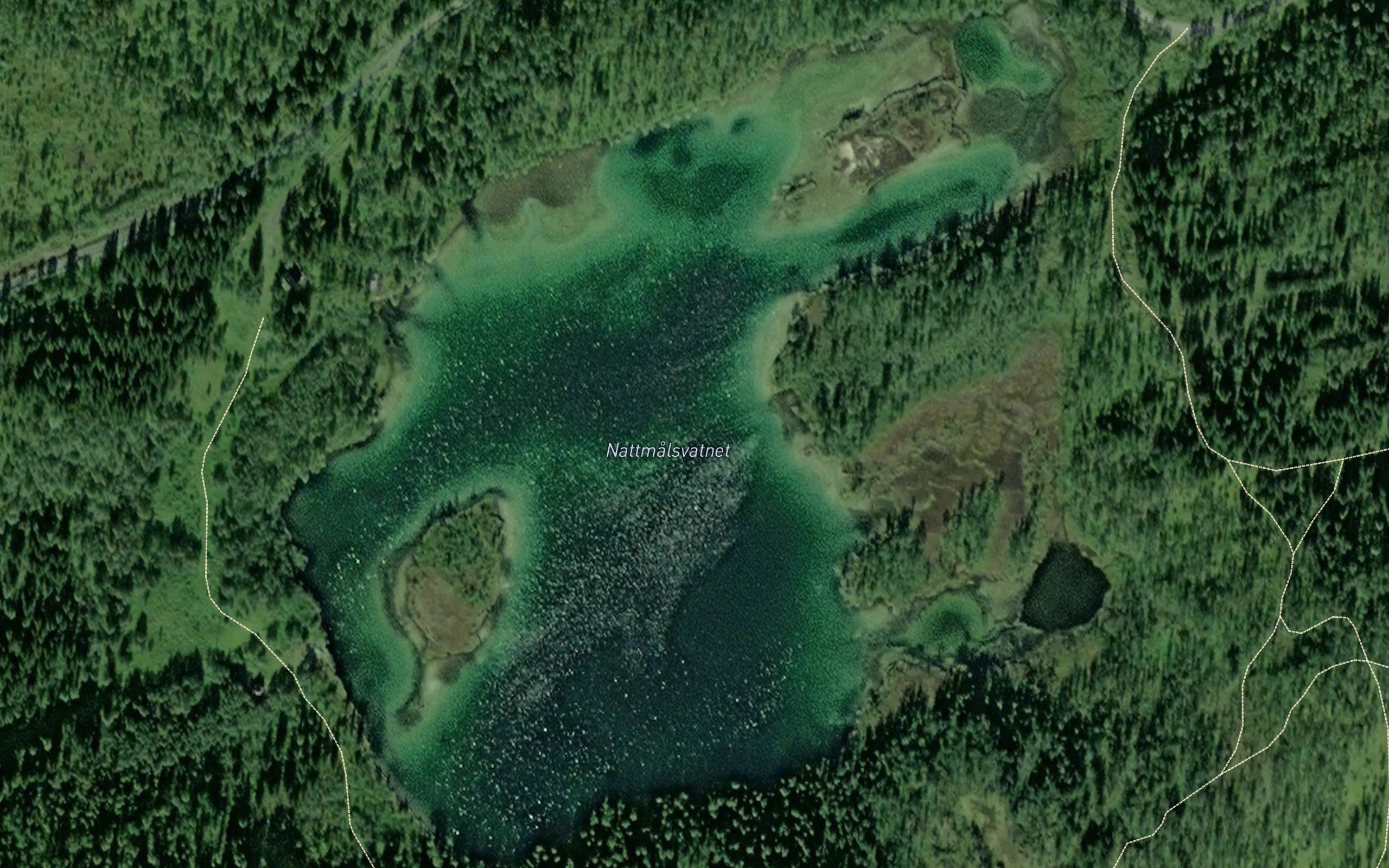 Nattmalvatnet