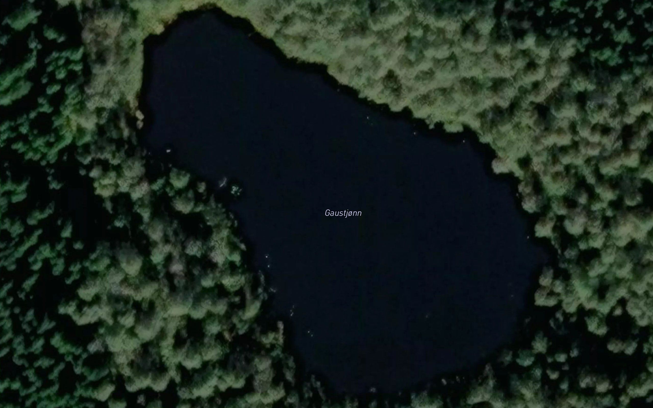 Gaustjonn