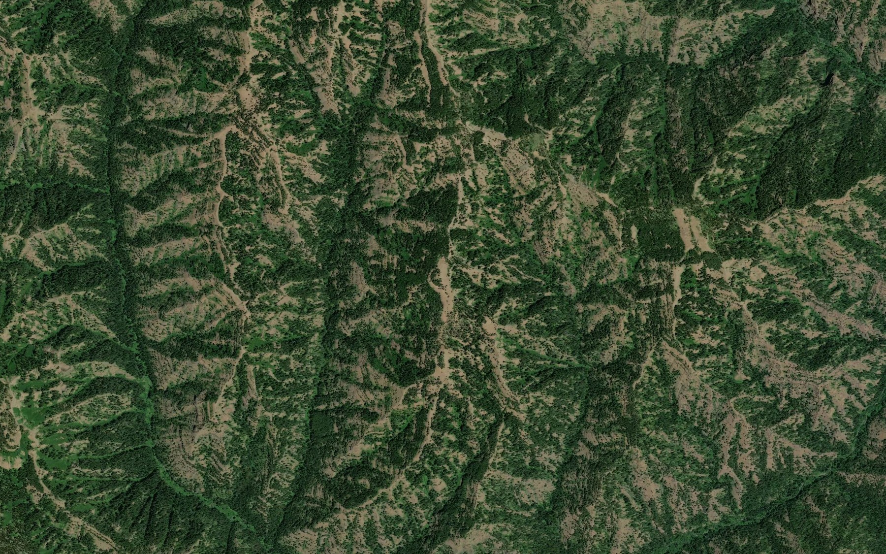 Satellite map of the Trapper Spring