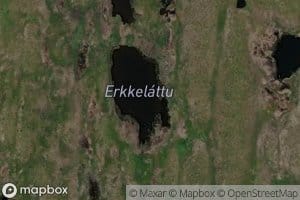 Erkkelattu