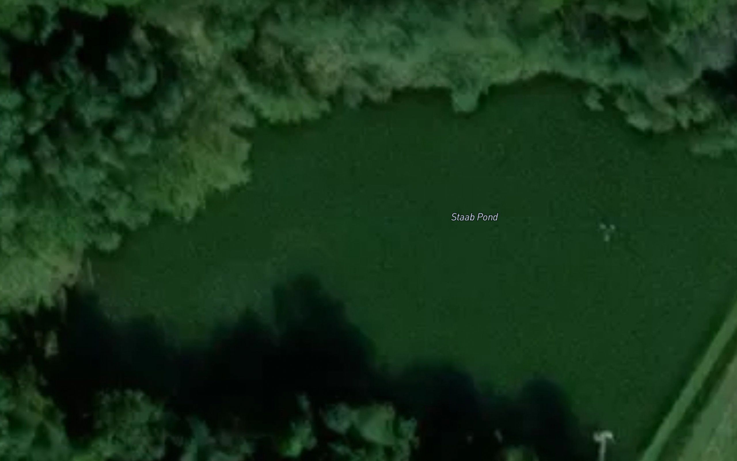 Staab Pond