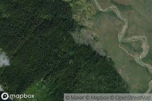 Upright Creek