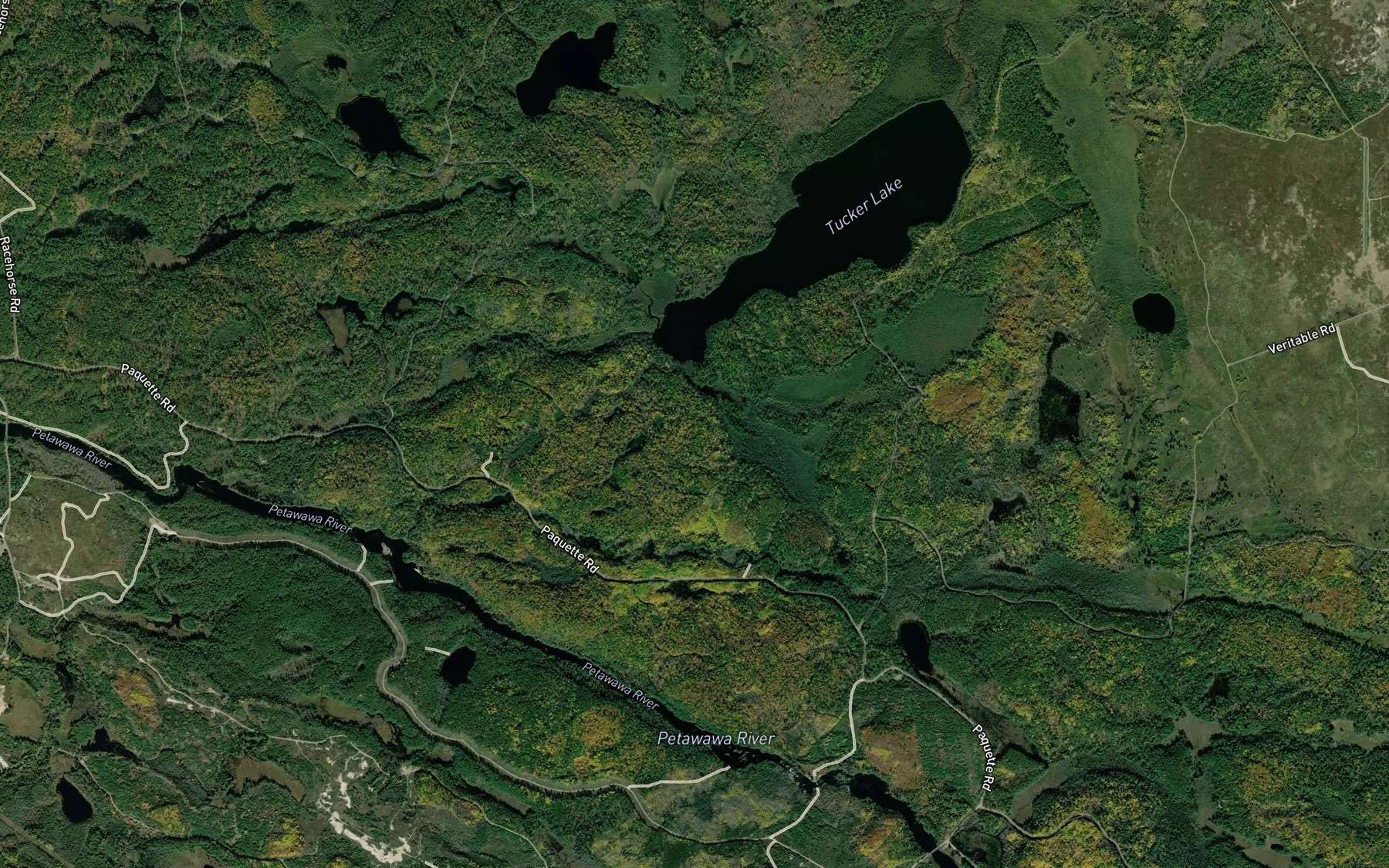 Satellite map of the Rutherford Creek