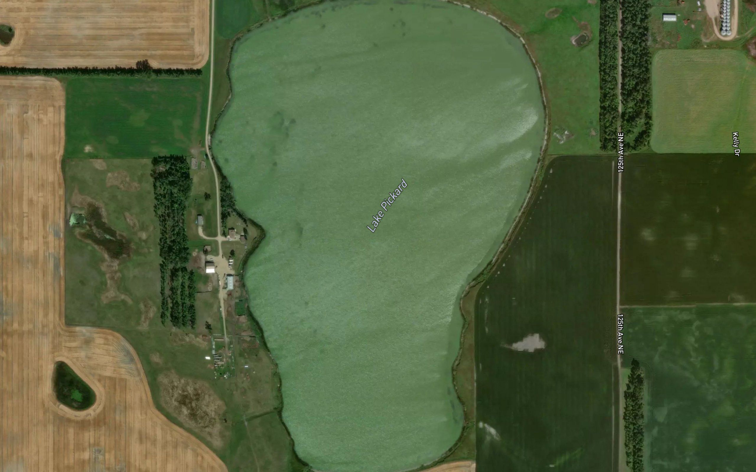 Lake Pickard