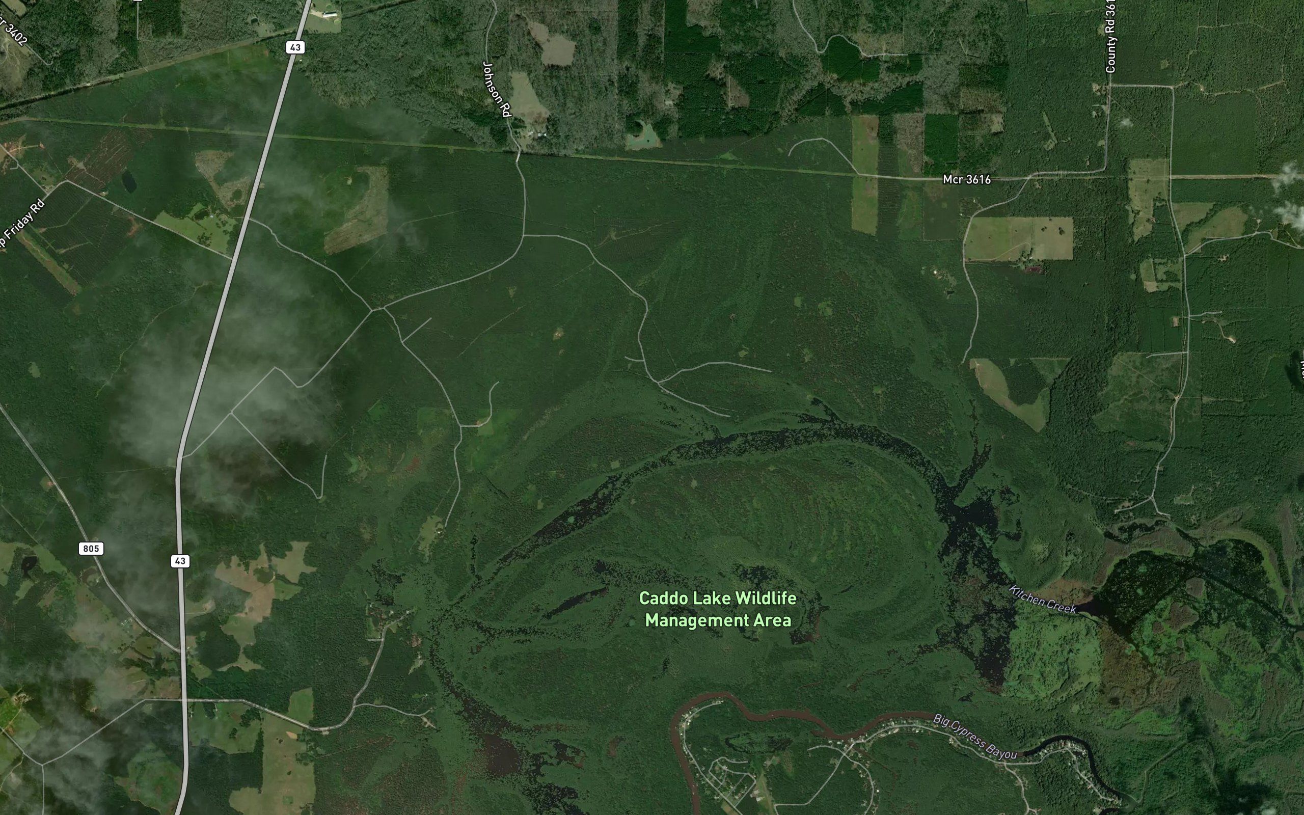Jenkins Slough