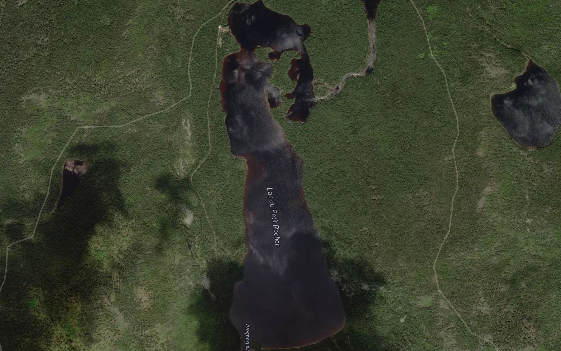 Satellite map of the Lac du Petit Rocher