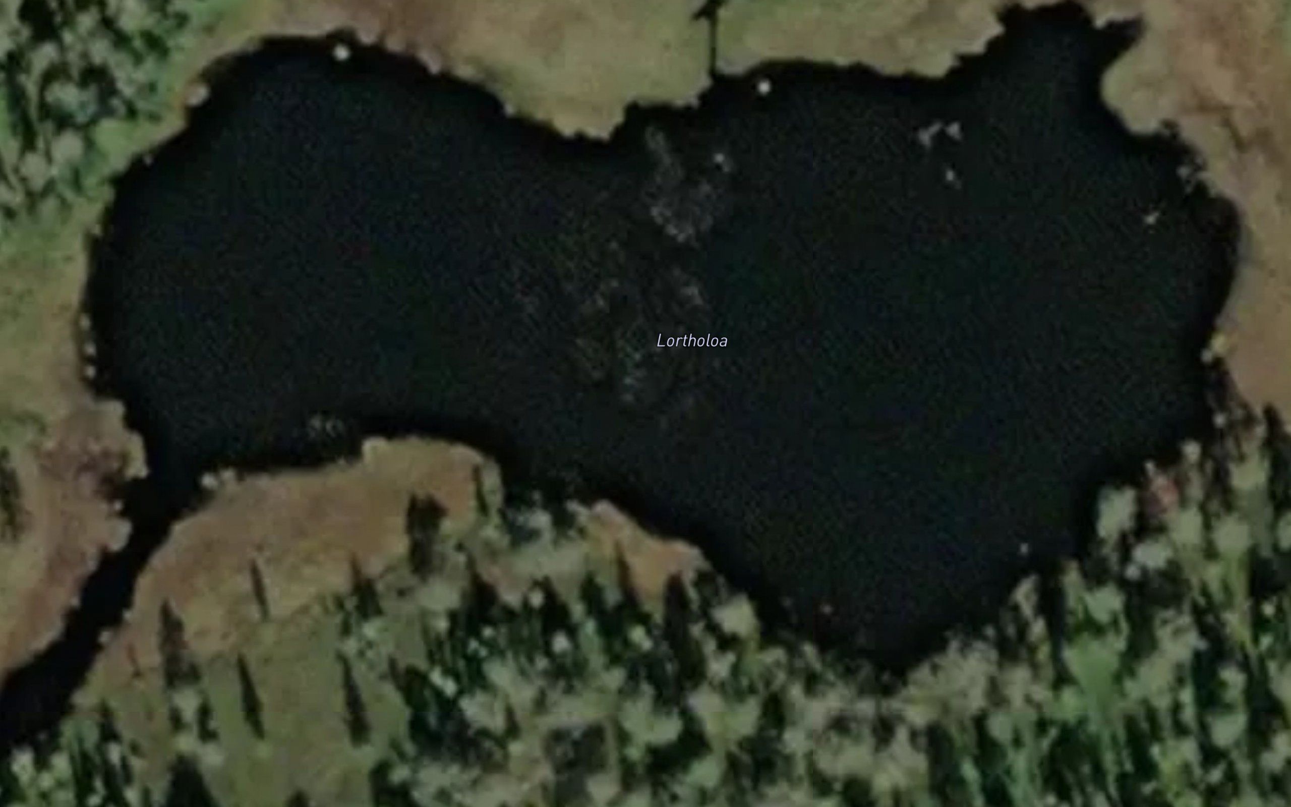 Lortholotjern