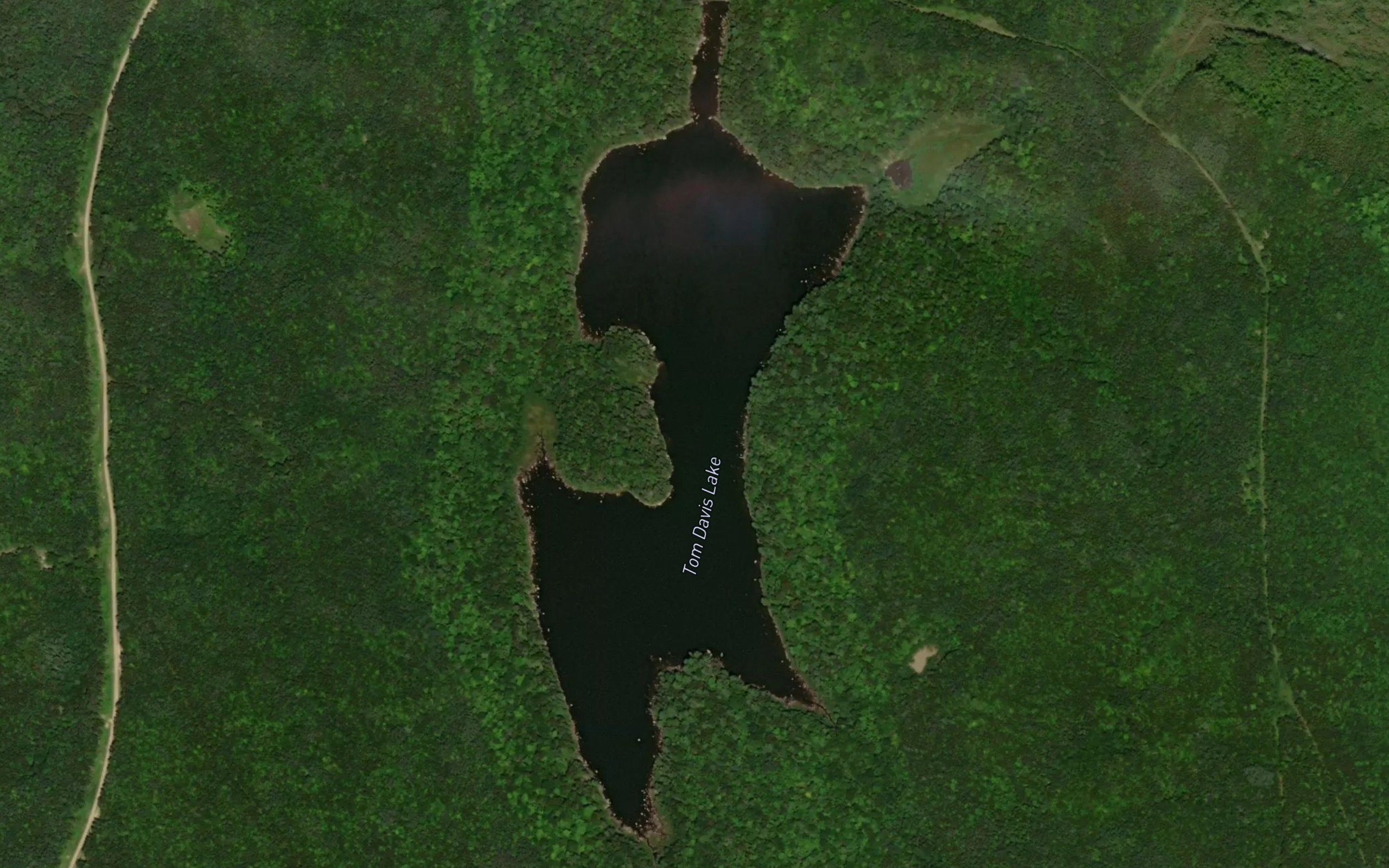 Tom Davis Lake