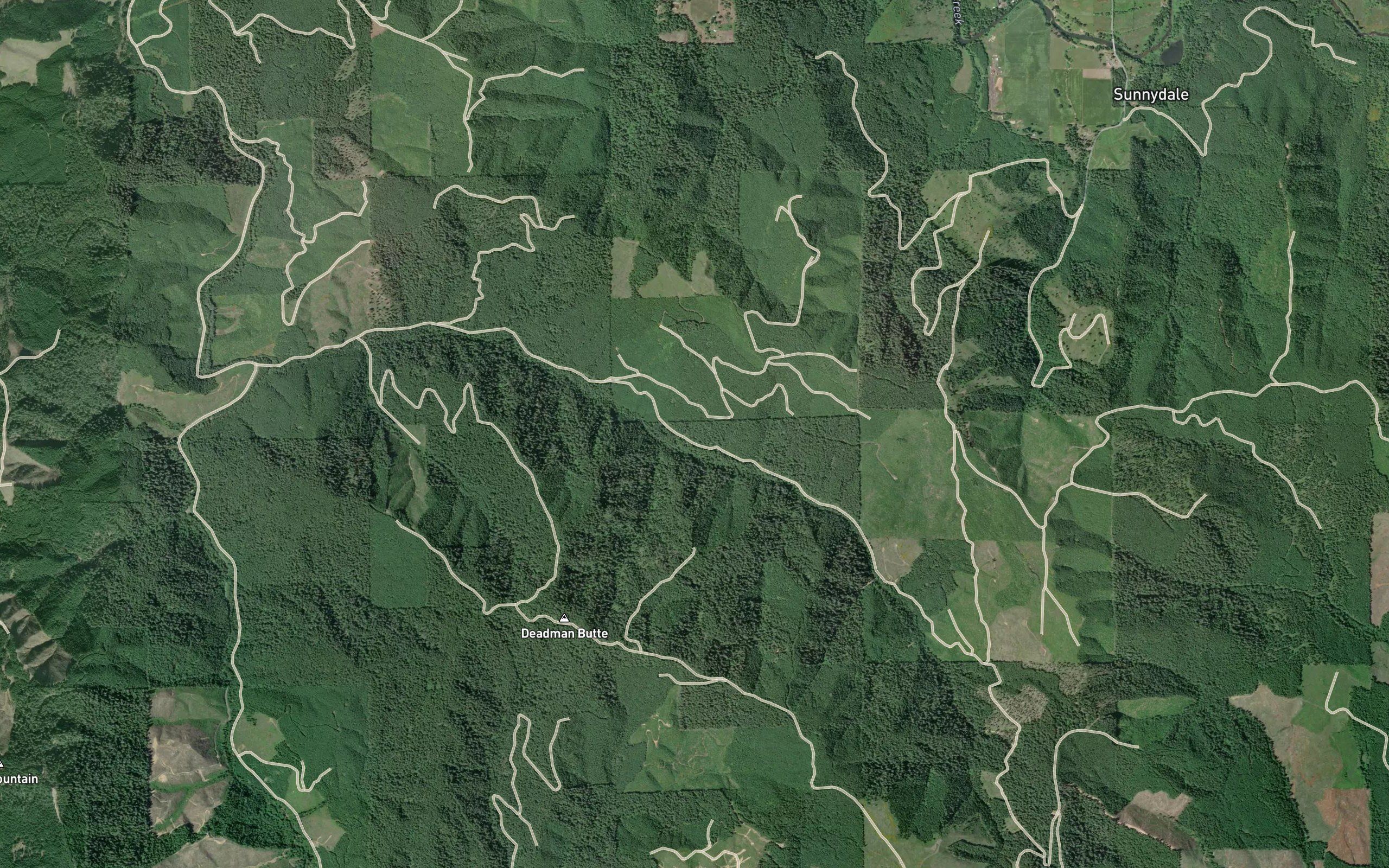 Burn Creek