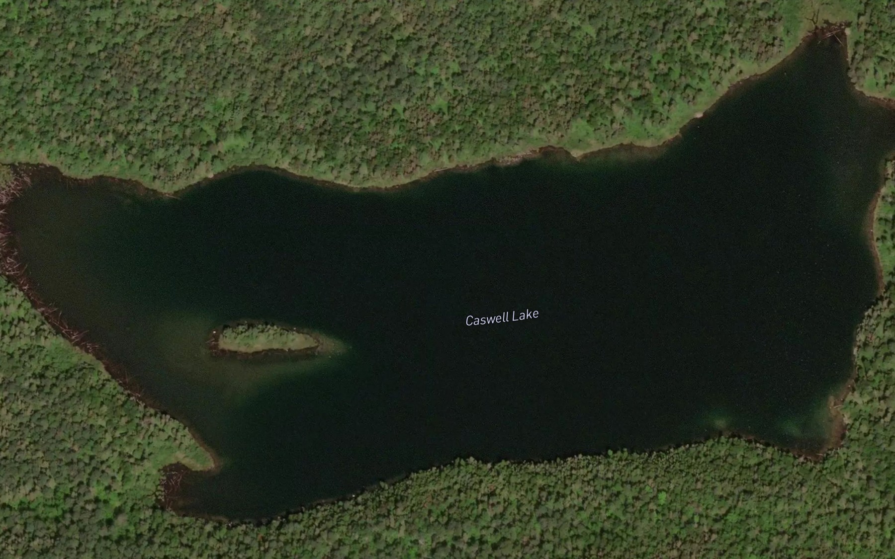 Satellite map of the Caswell Lake