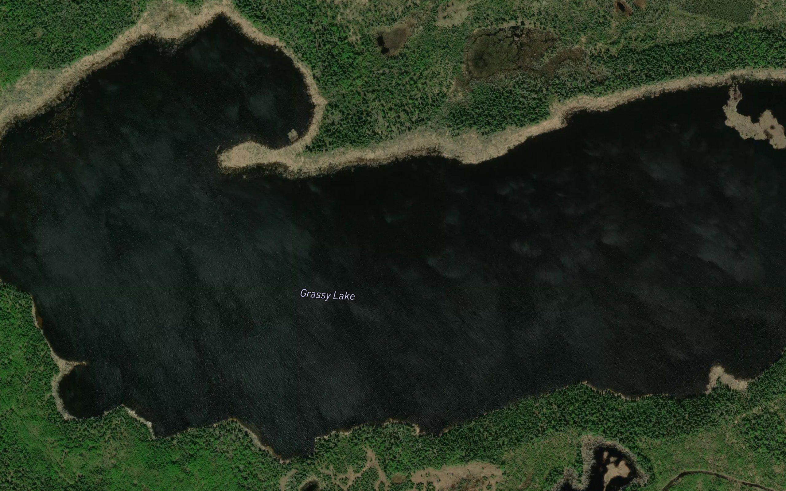 Grassy Lake