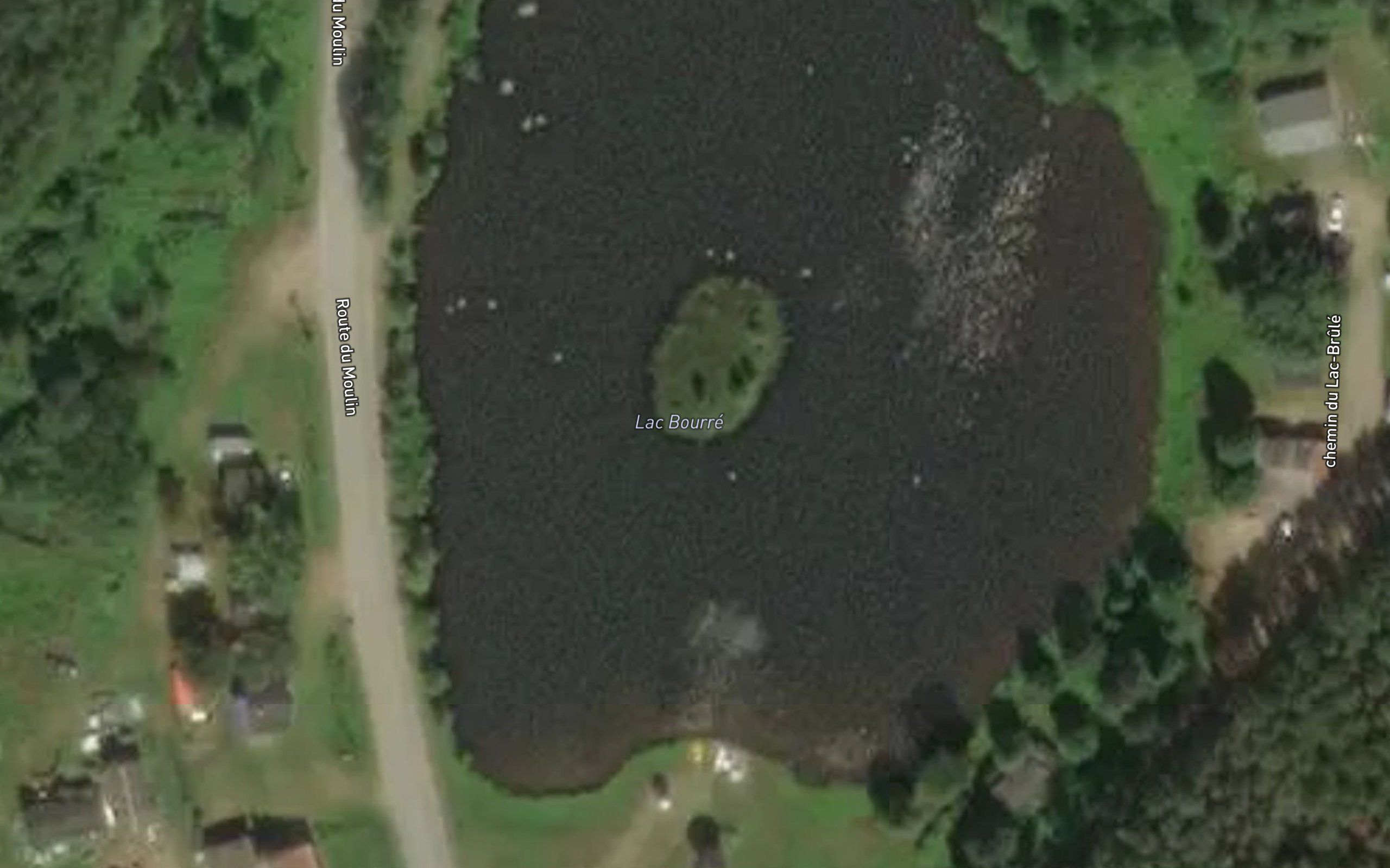Lac Bourre