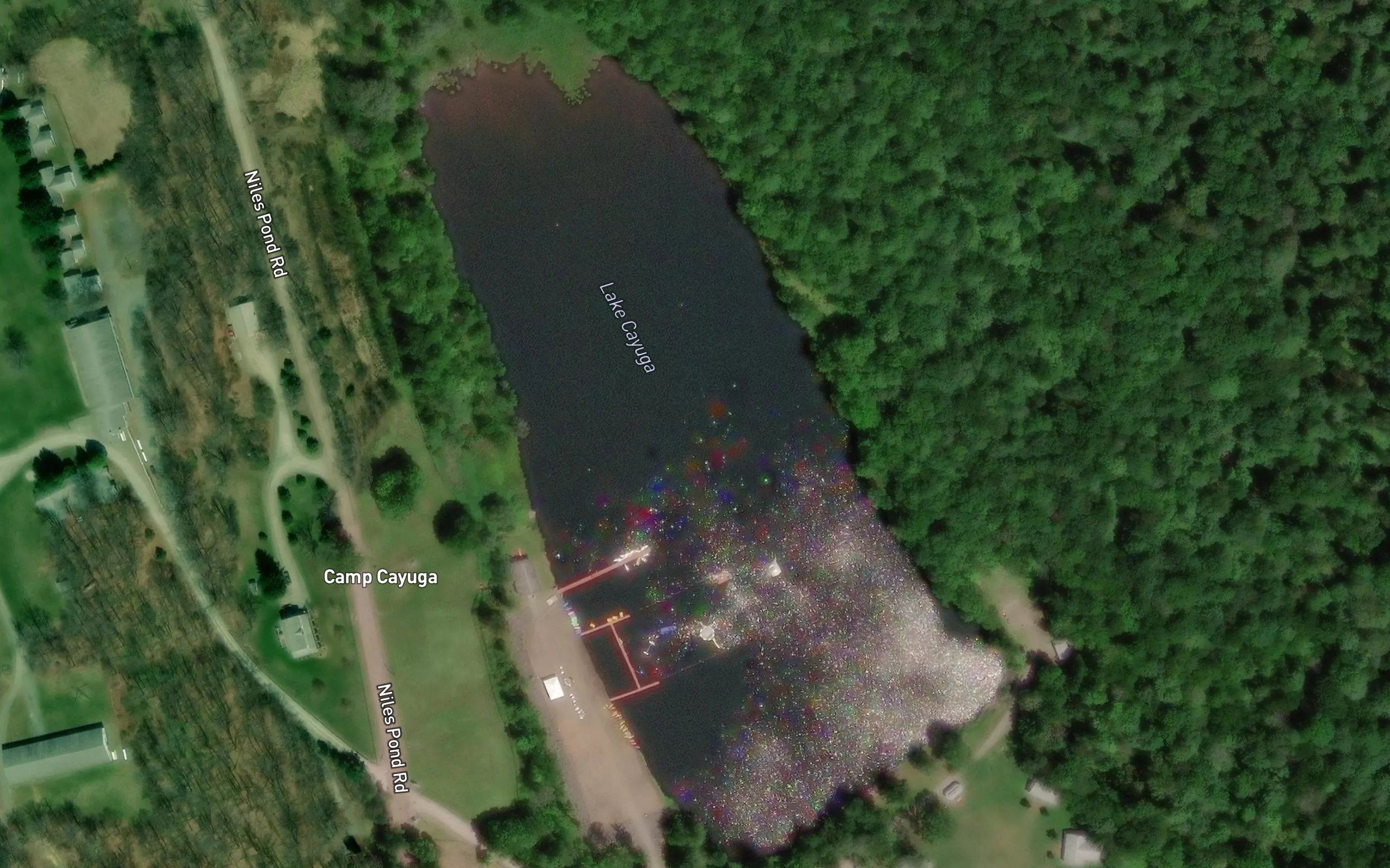 Lake Cayuga