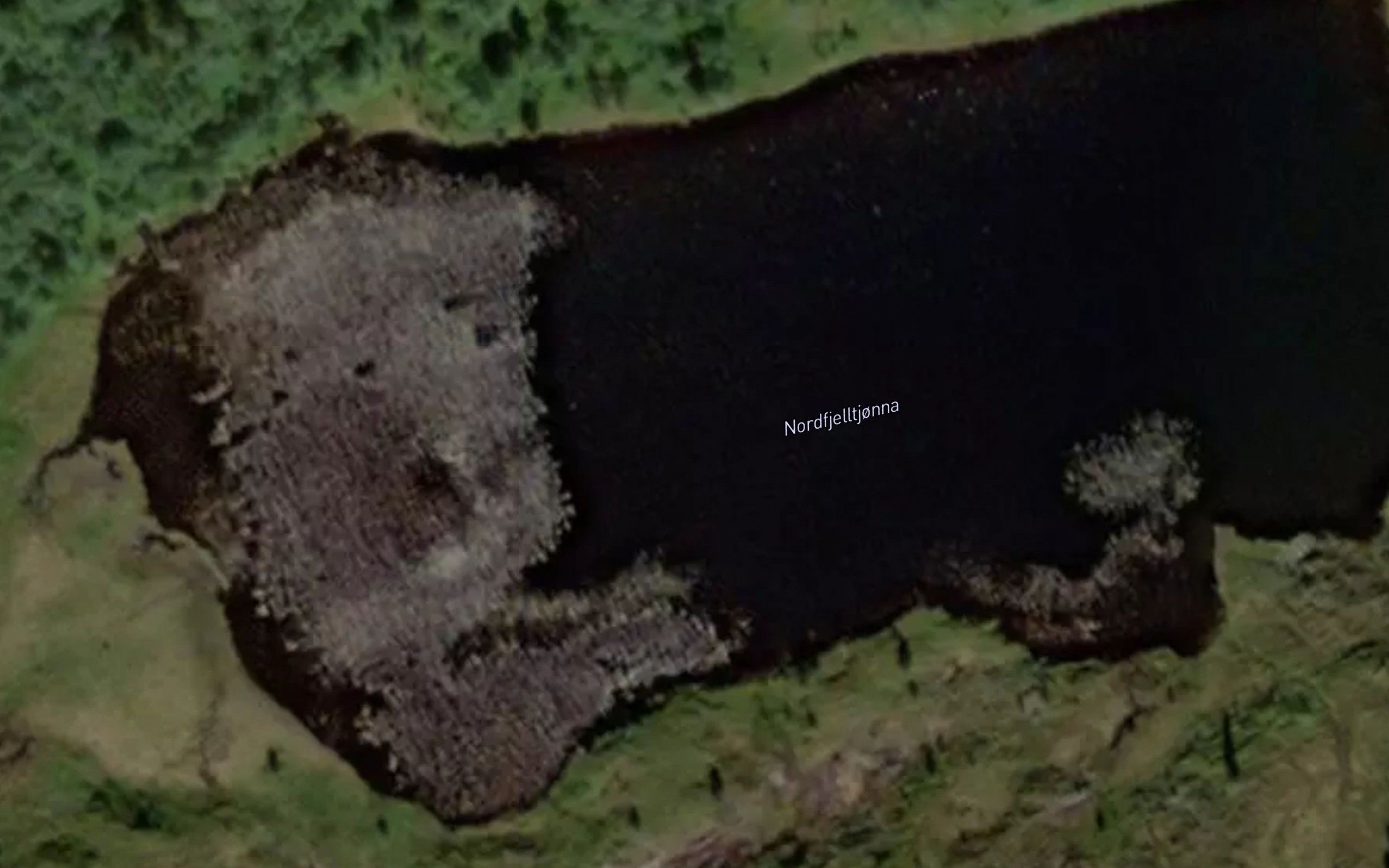 Nordfjelltjorna