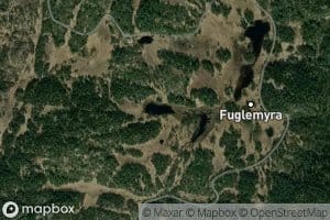 Kapteinstjorna