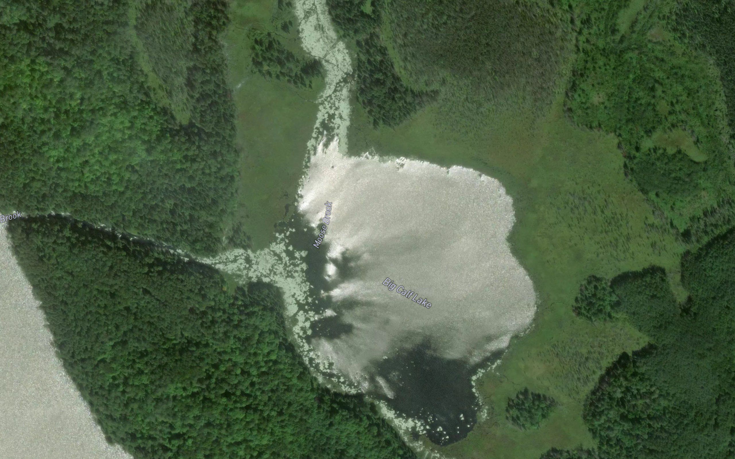 Big Calf Lake
