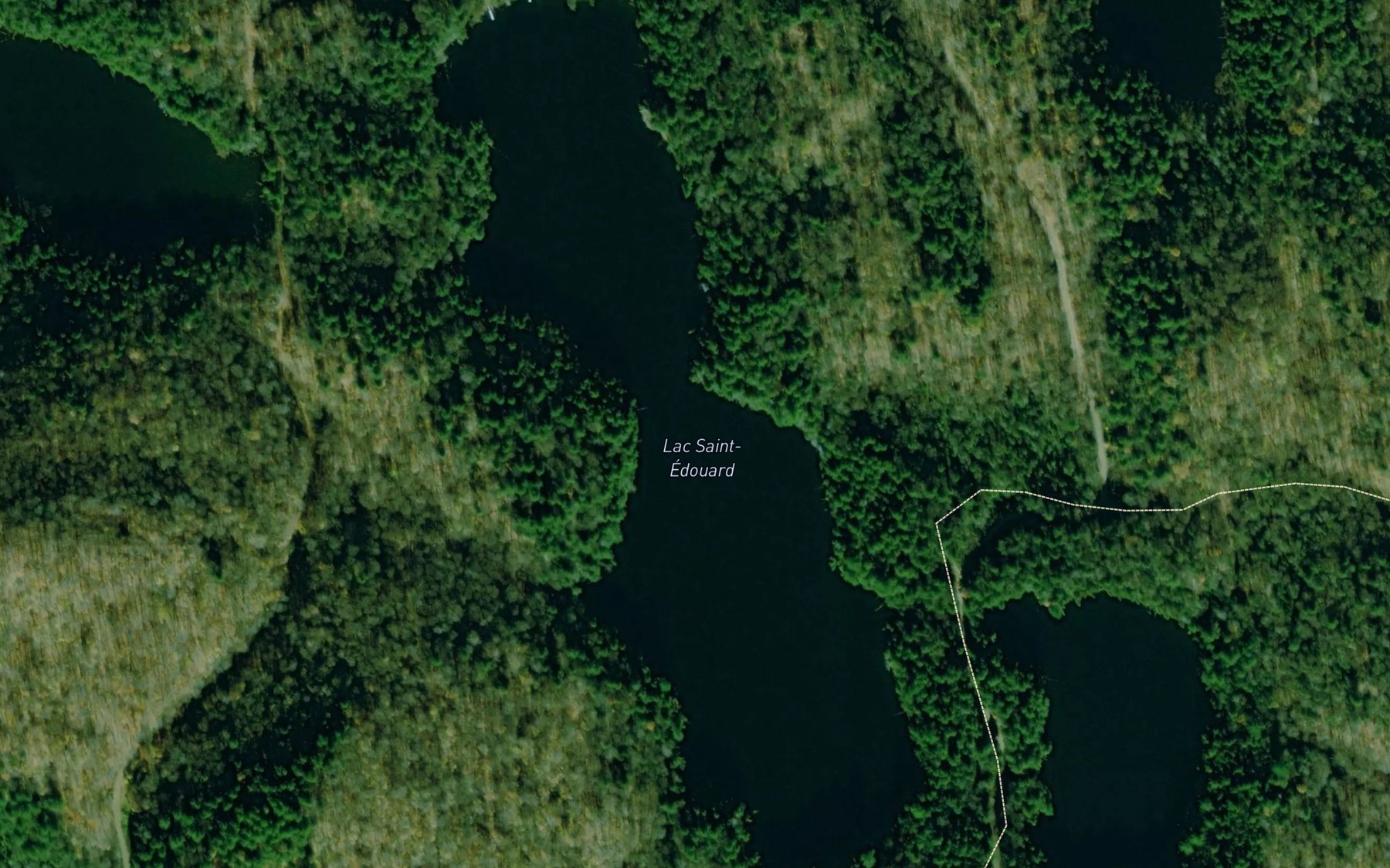 Satellite map of the Lac Saint-Edouard