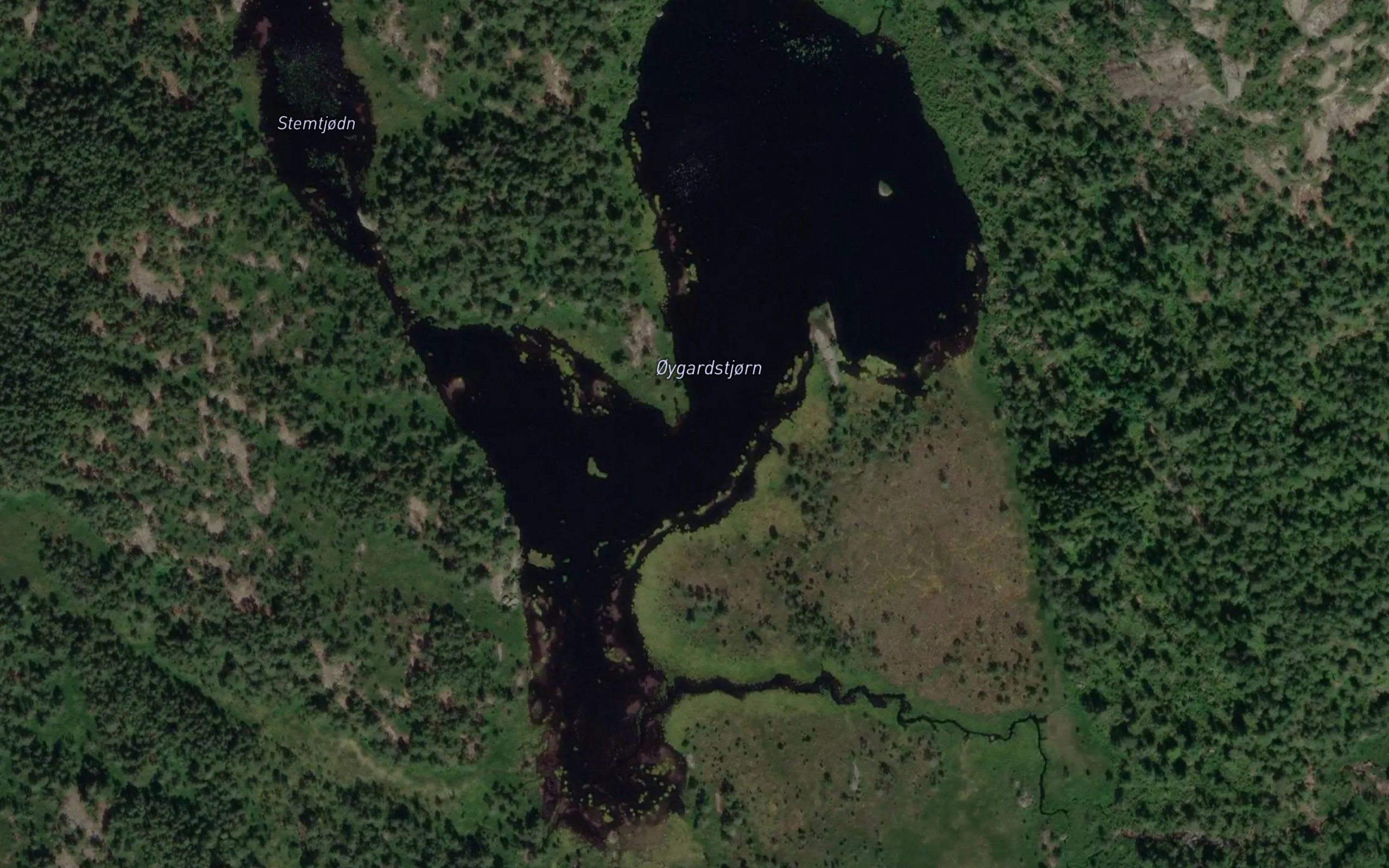 Oygardstjorn
