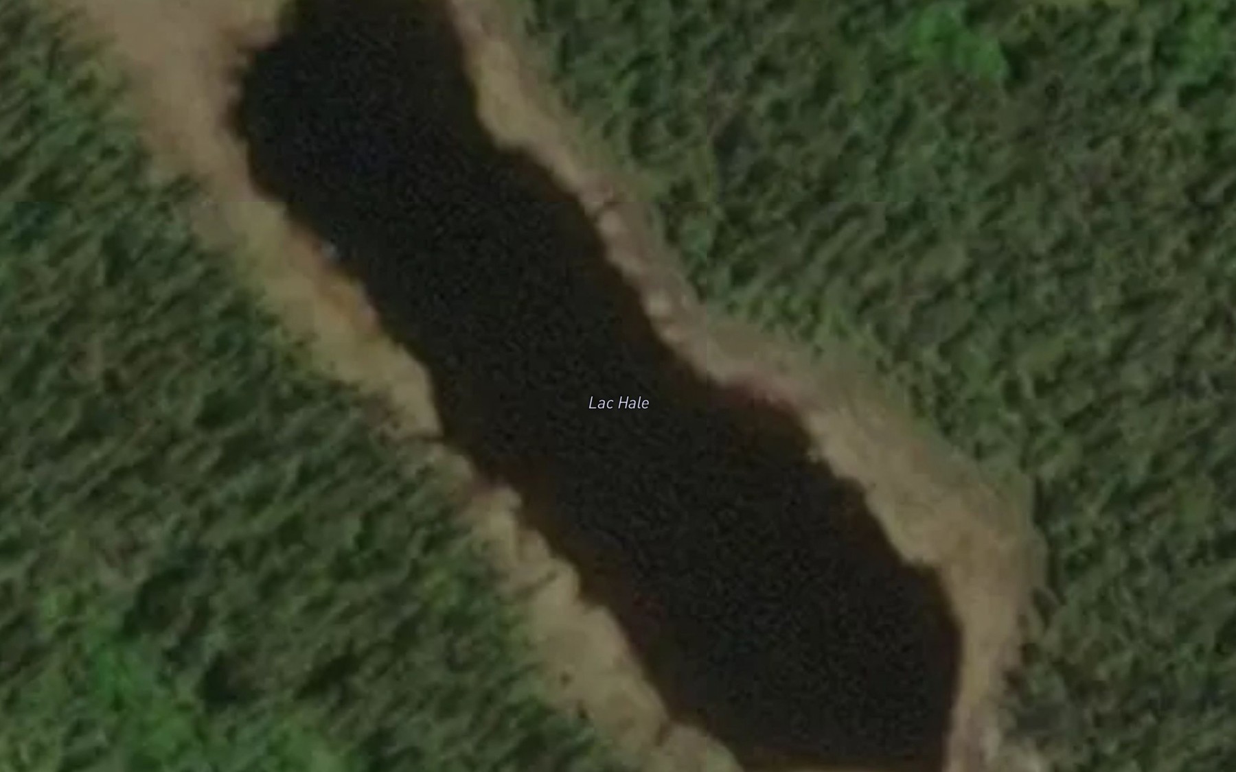 Satellite map of the Lac Hale
