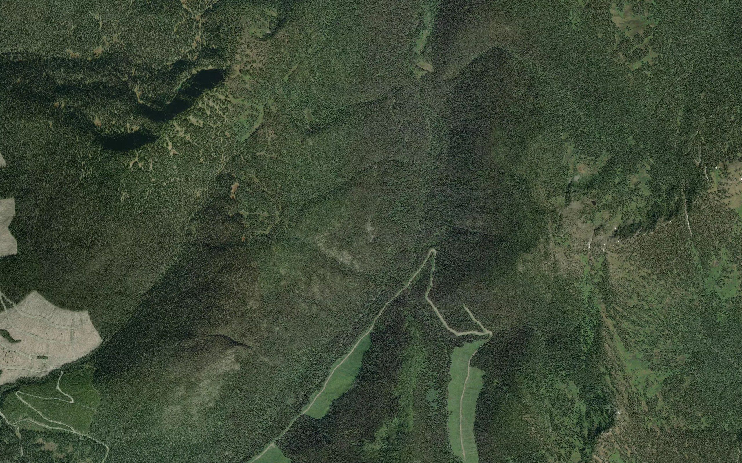 Aster Creek