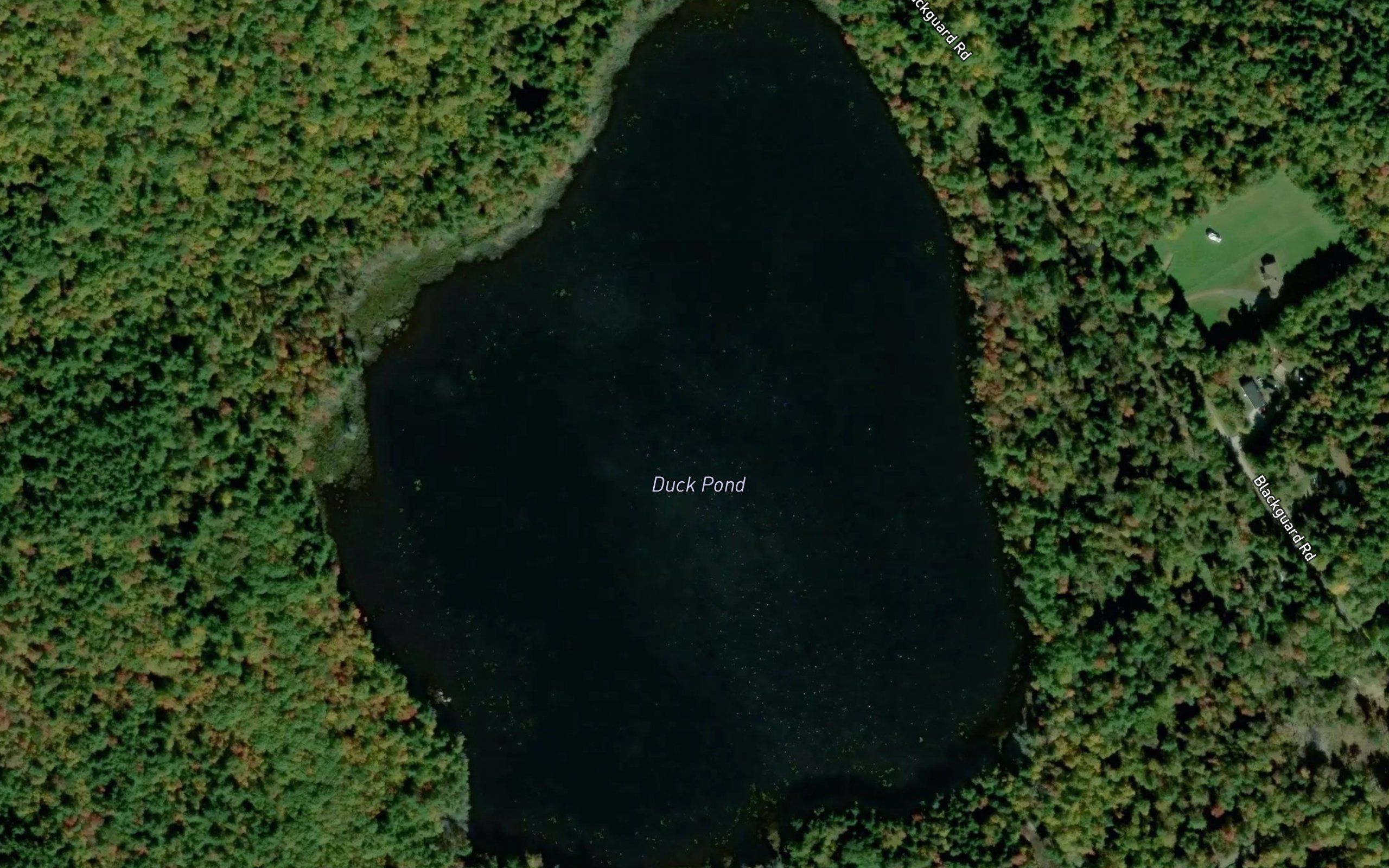 Duck Pond