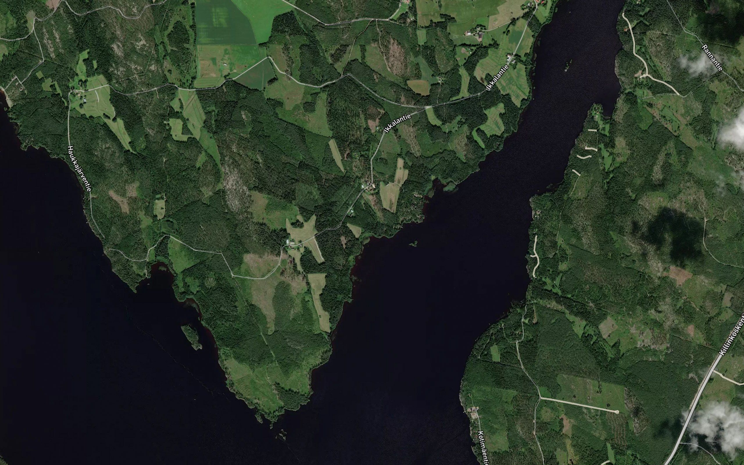 Kupanoja