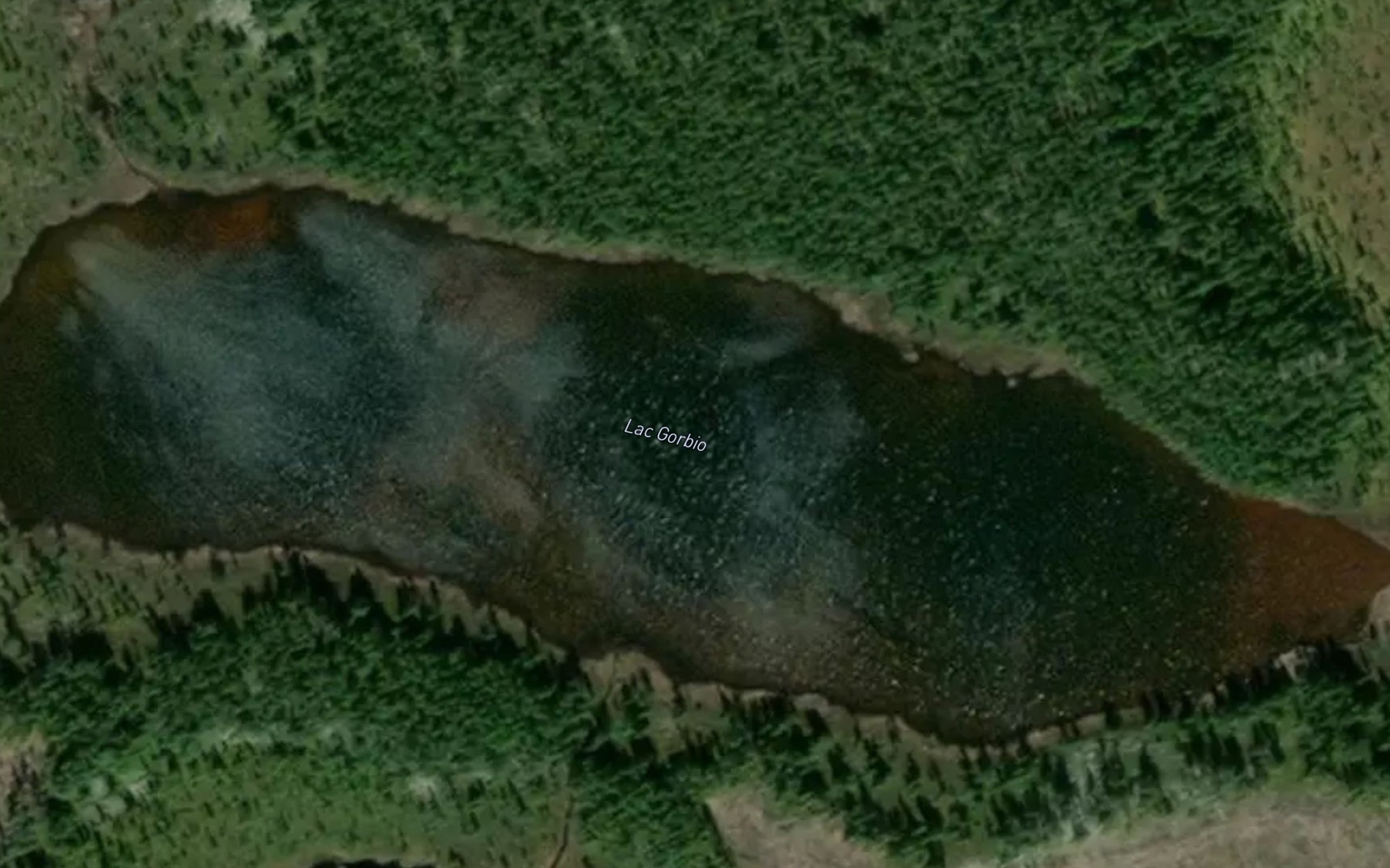 Satellite map of the Lac Gorbio
