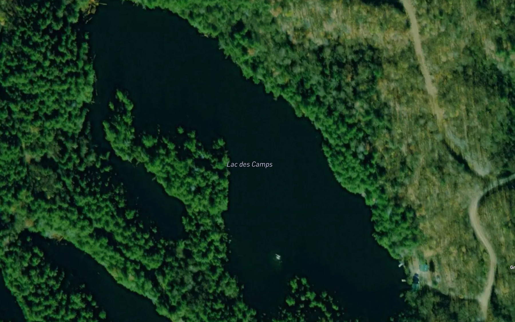 Satellite map of the Lac des Camps