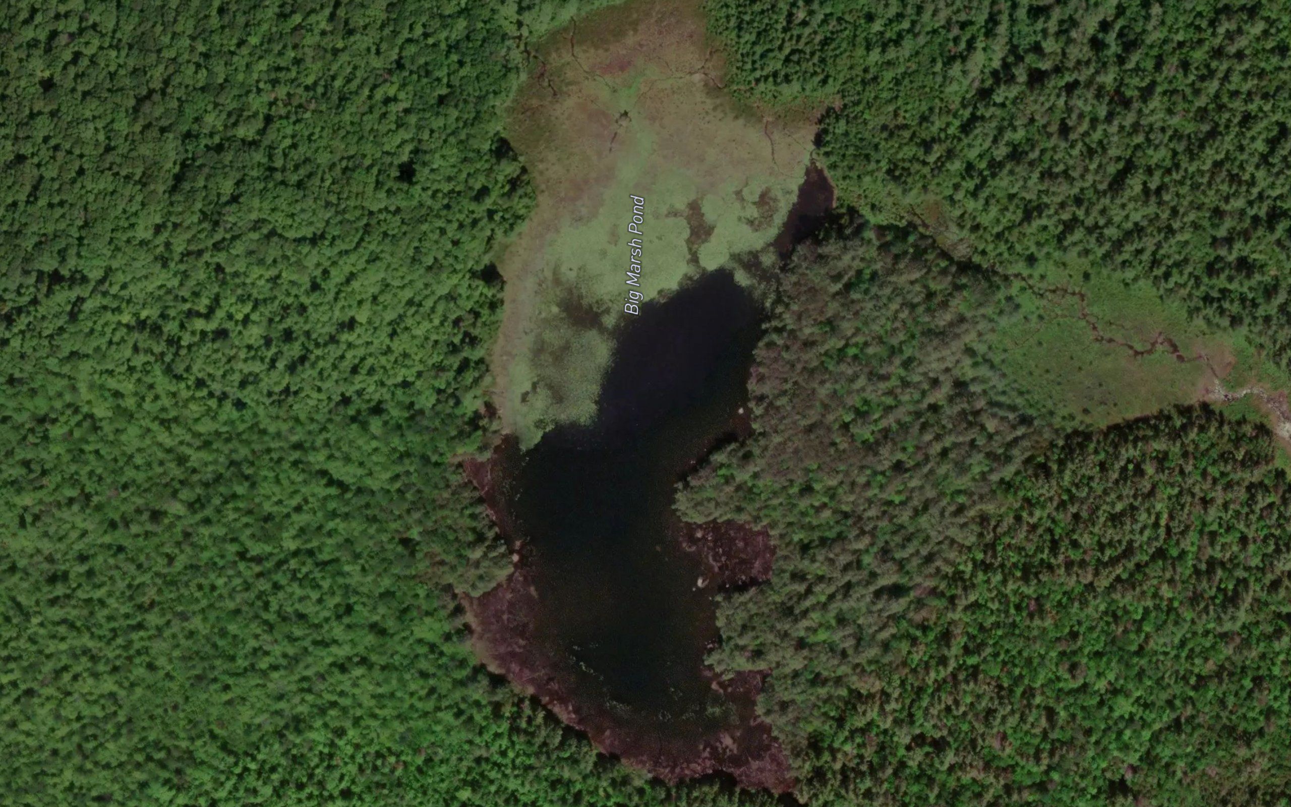 Big Marsh Pond