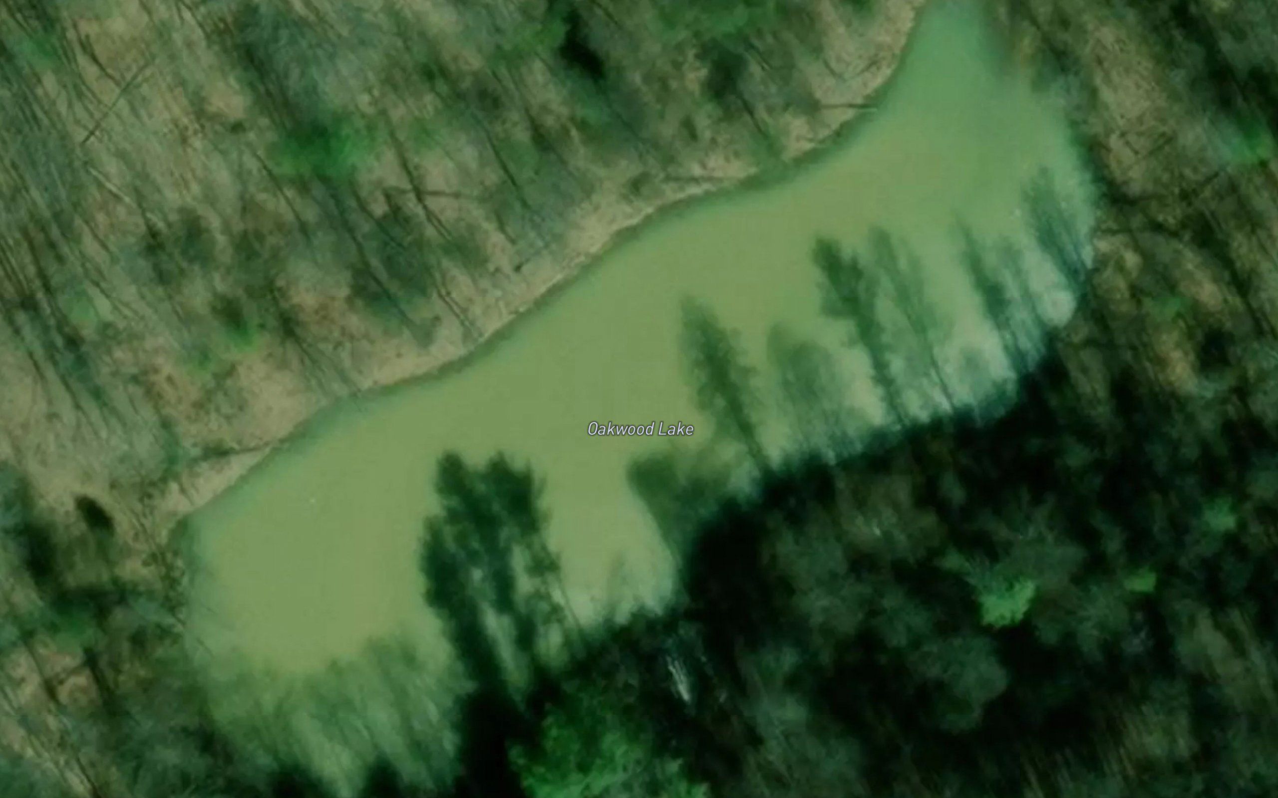 Oakwood Lake