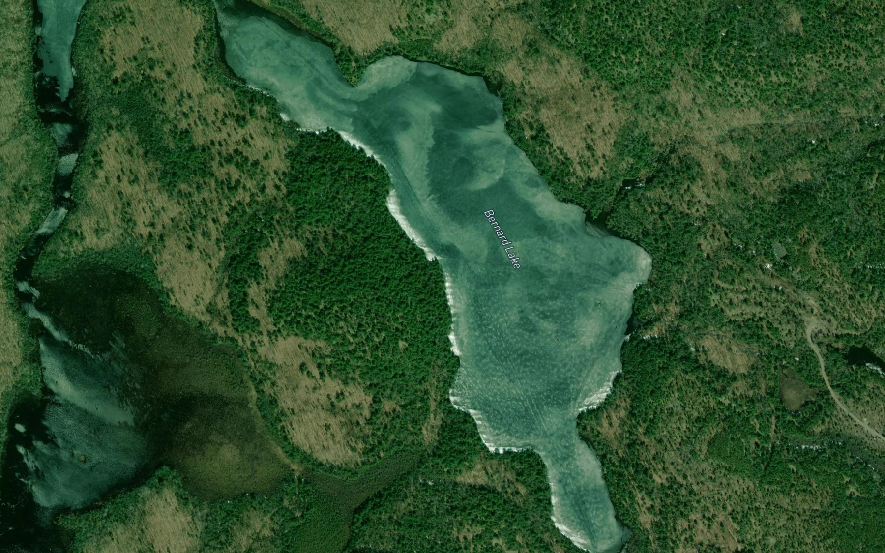 Satellite map of the Bernard Lake