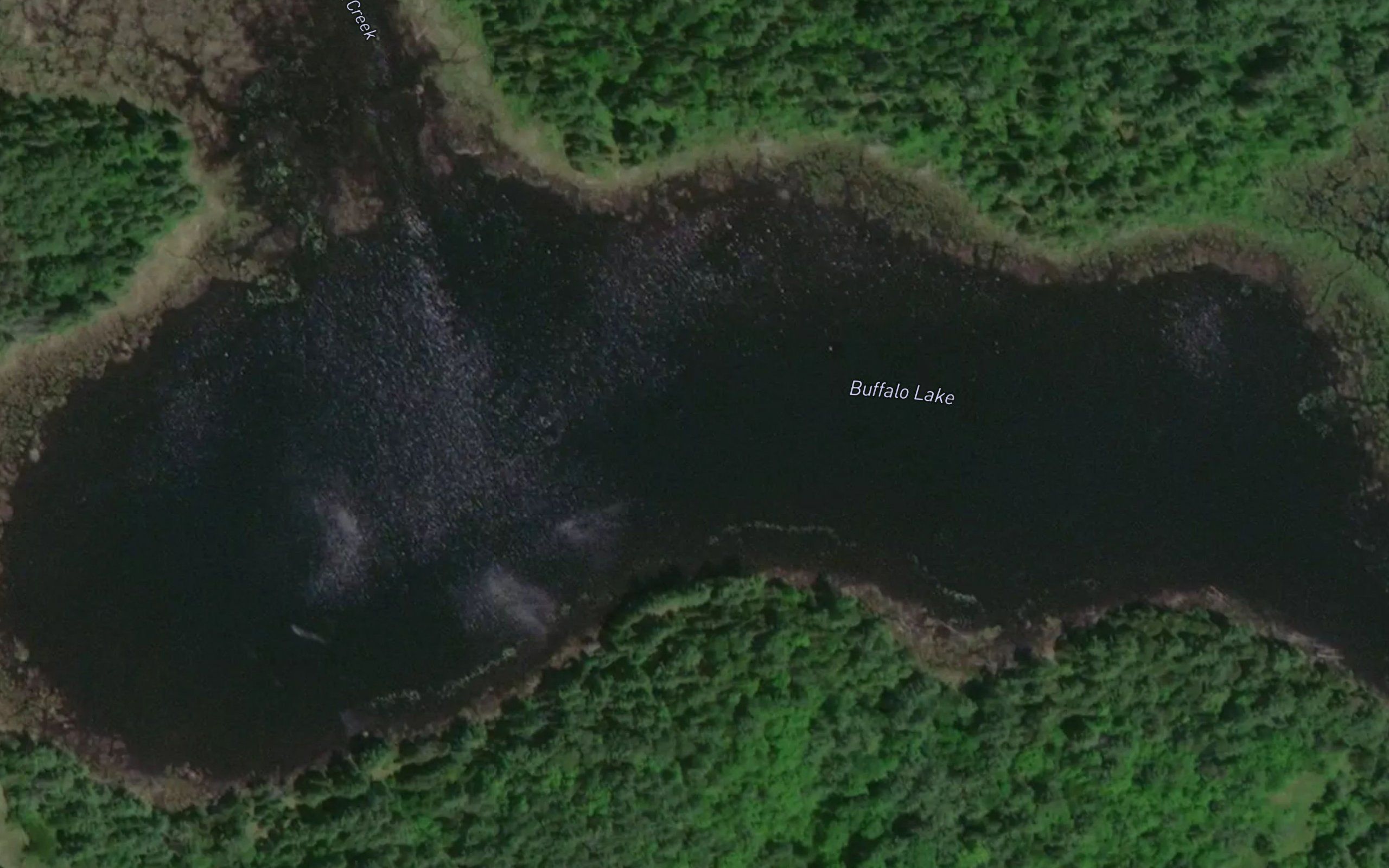 Buffalo Lake