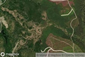Beaver Meadow Brook