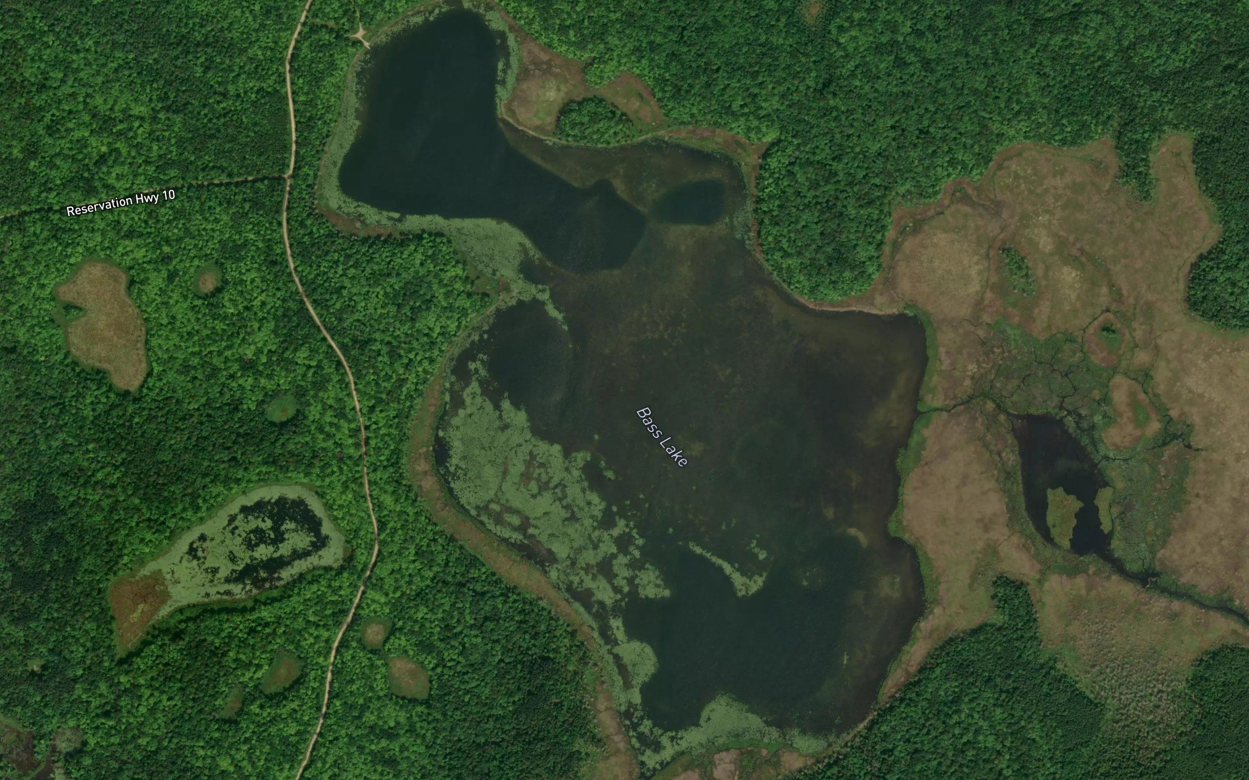 Bass Lake