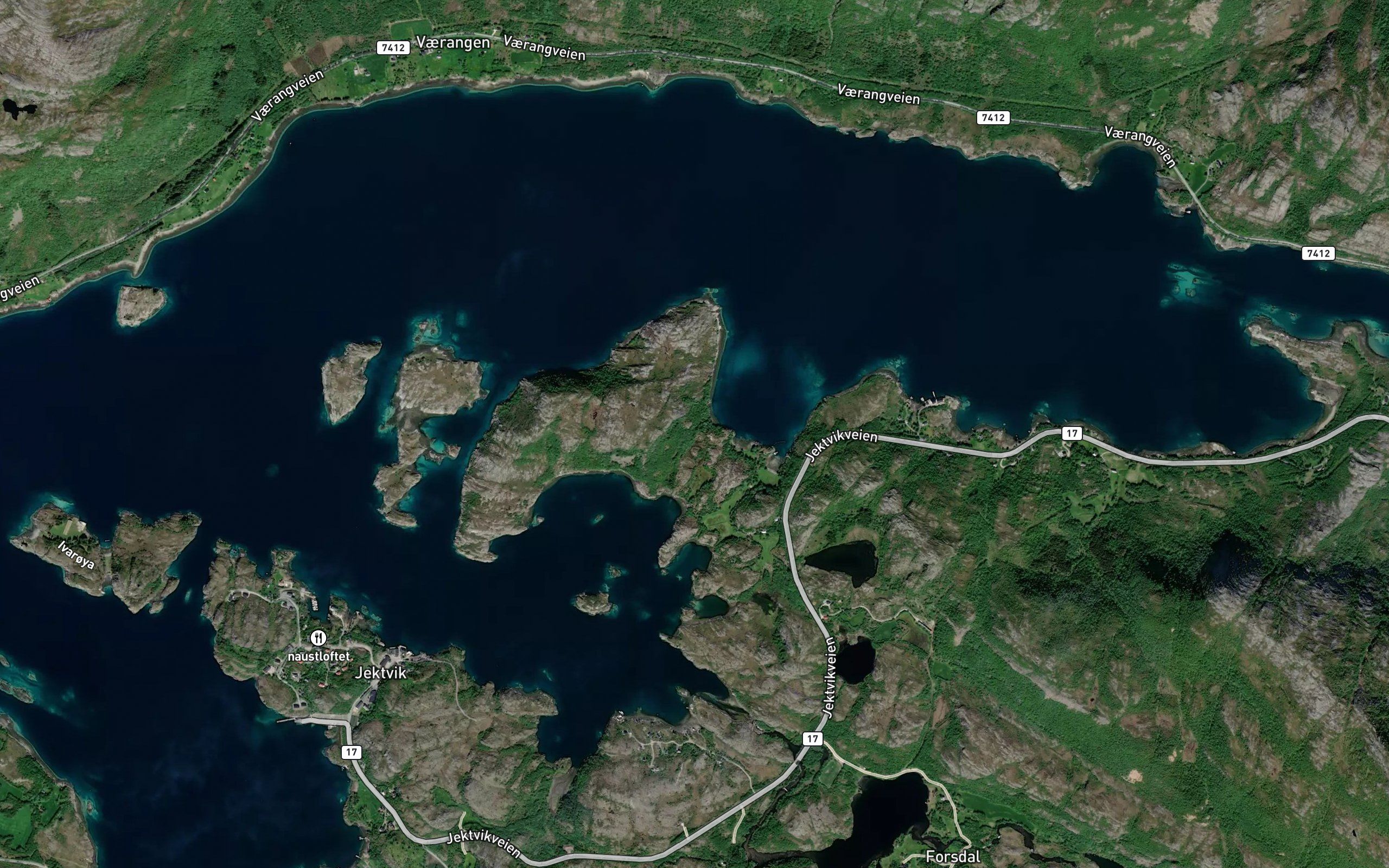 Kvitnesvika