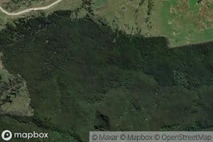 Motumako Stream