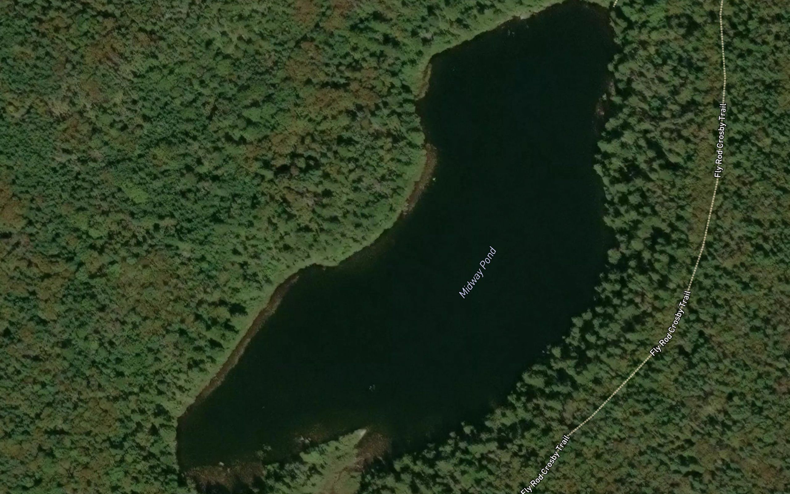 Midway Pond