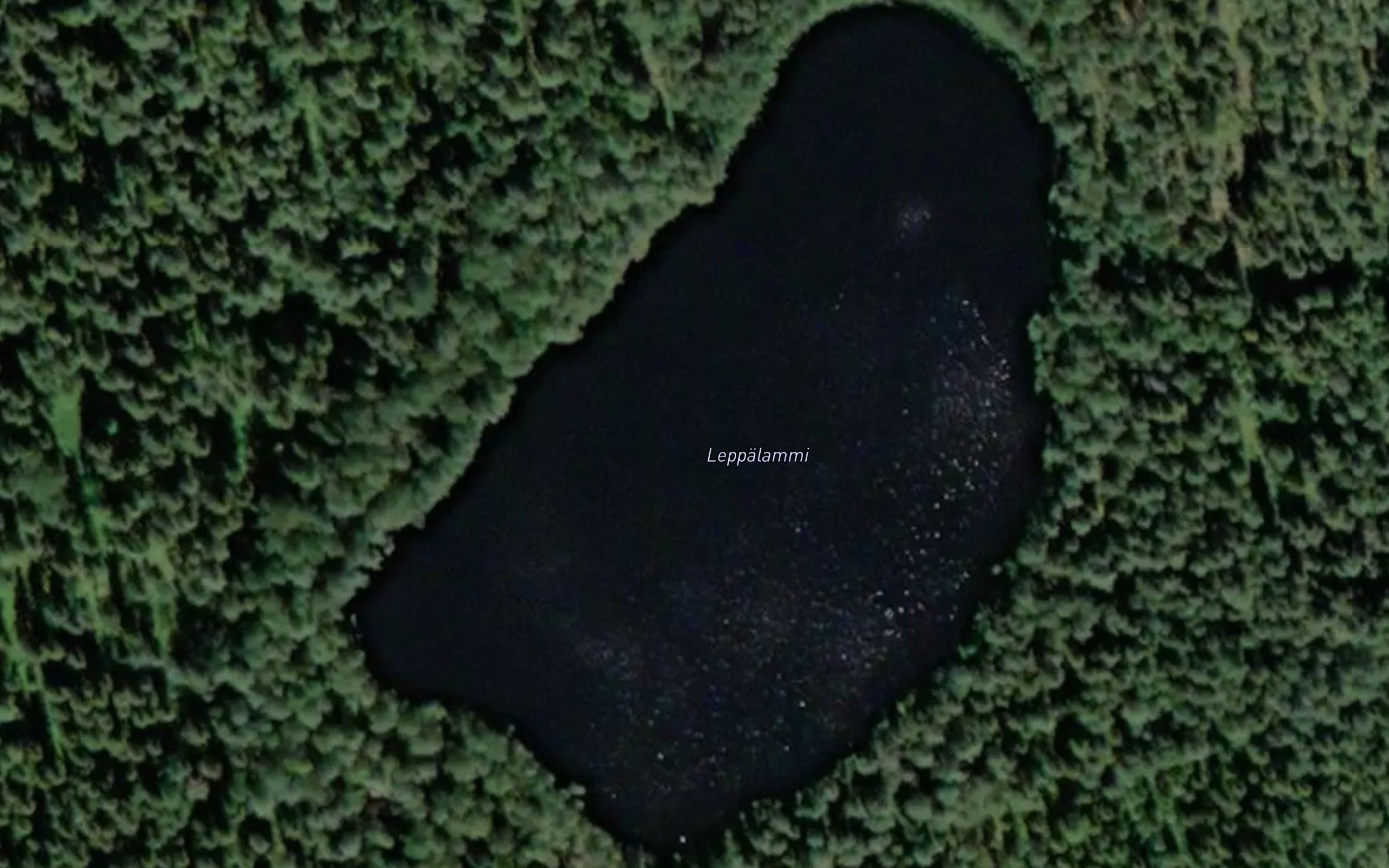 Leppalammi