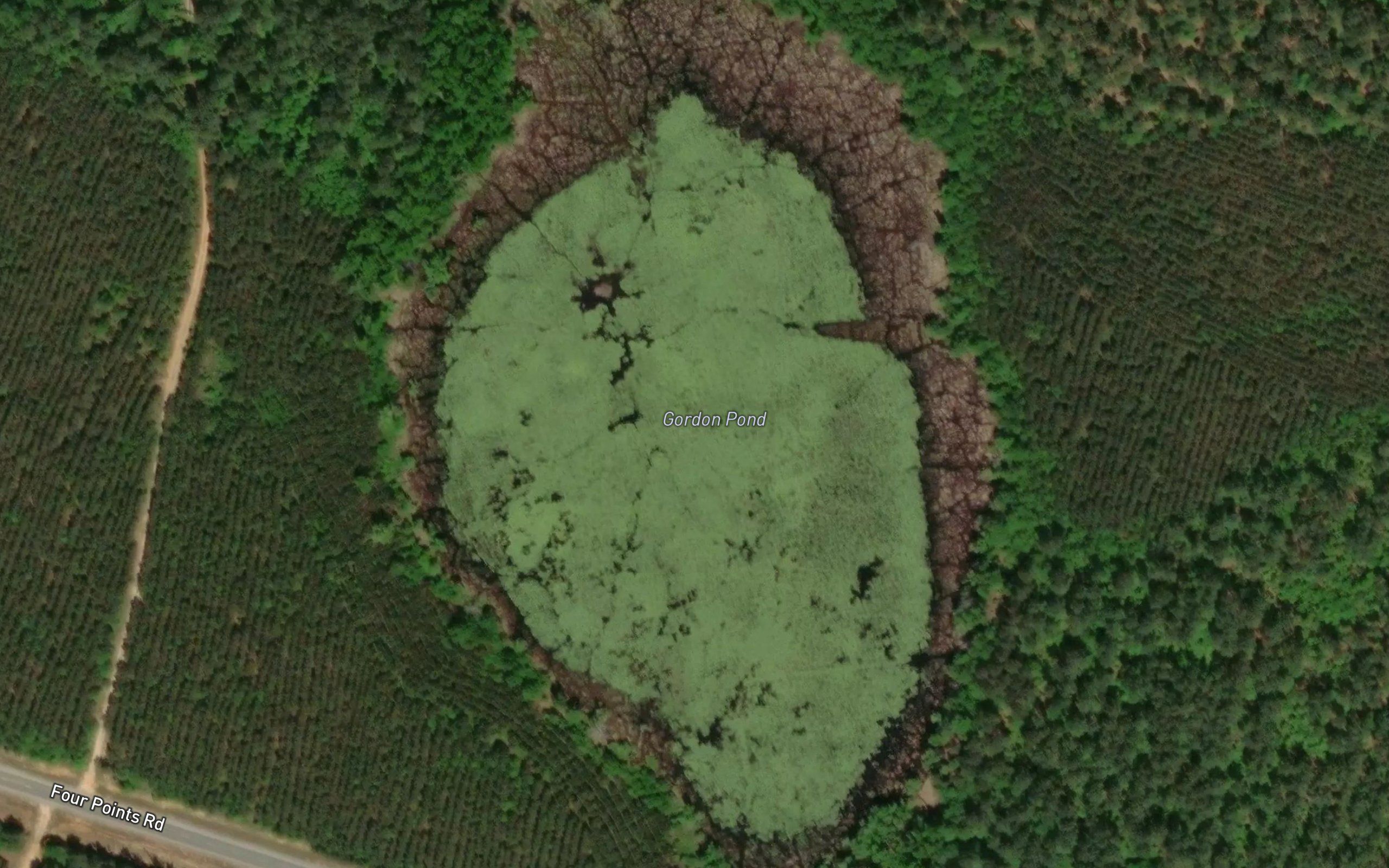 Gordon Pond