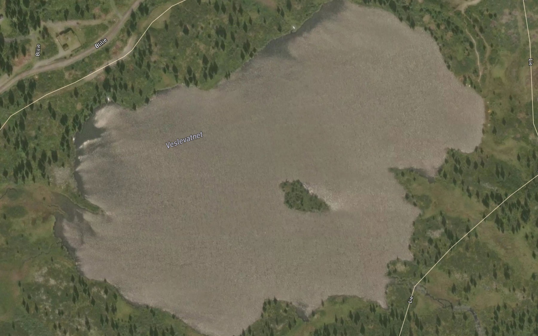 Satellite map of the Veslevatnet