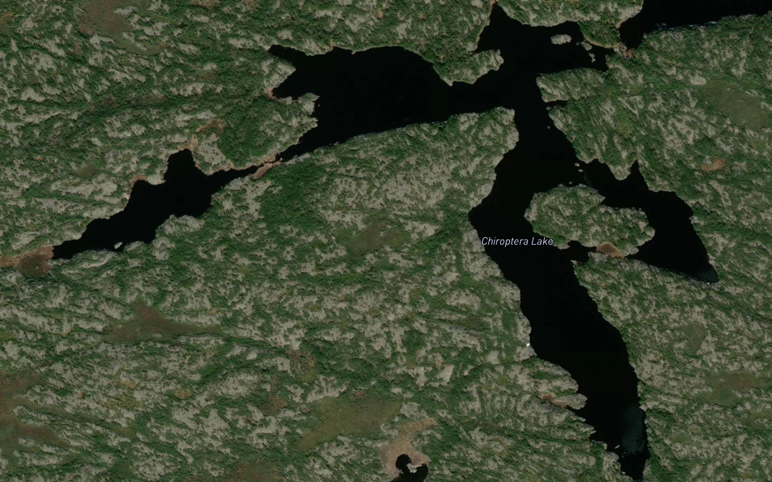 Chiroptera Lake