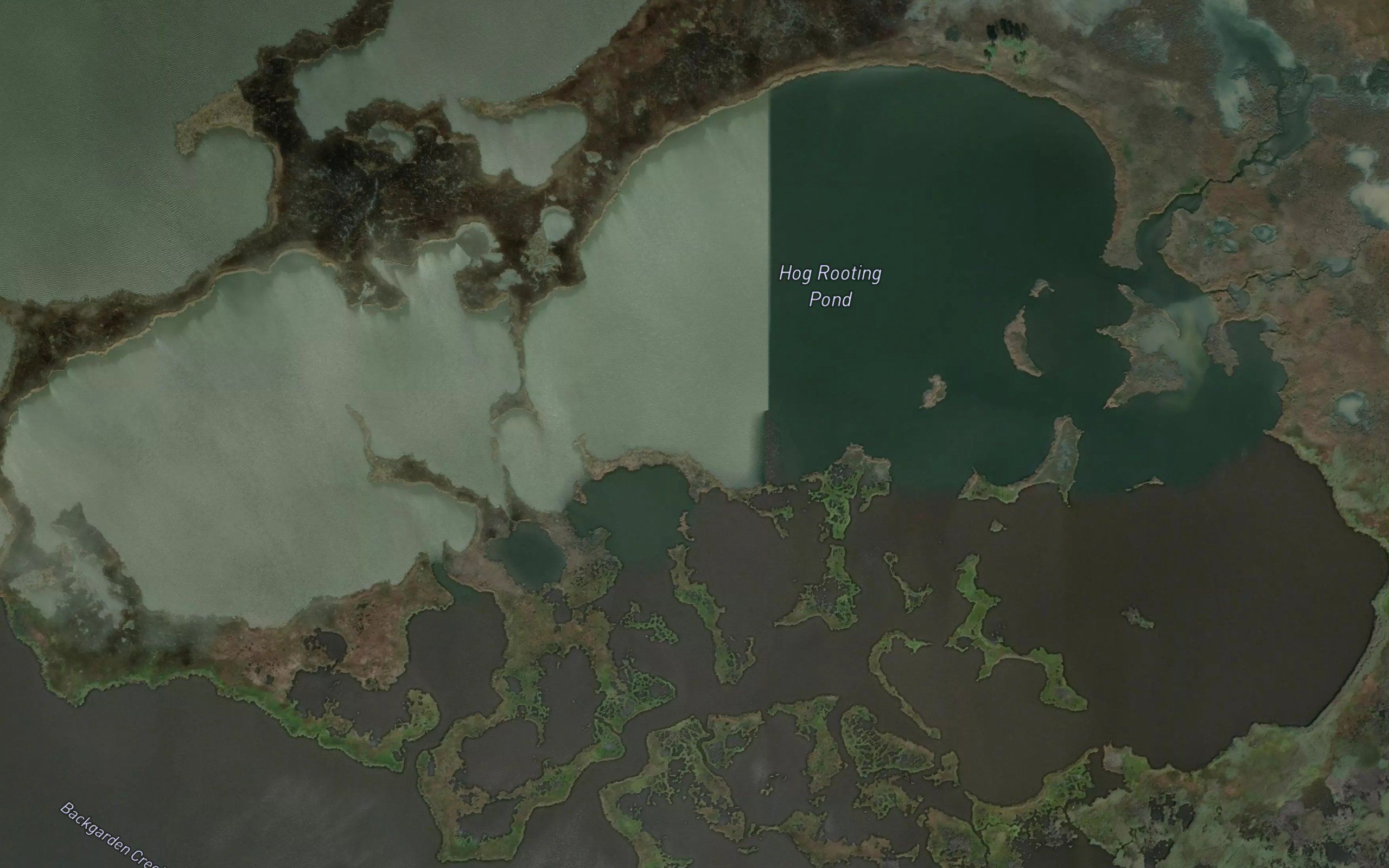 Hog Rooting Pond