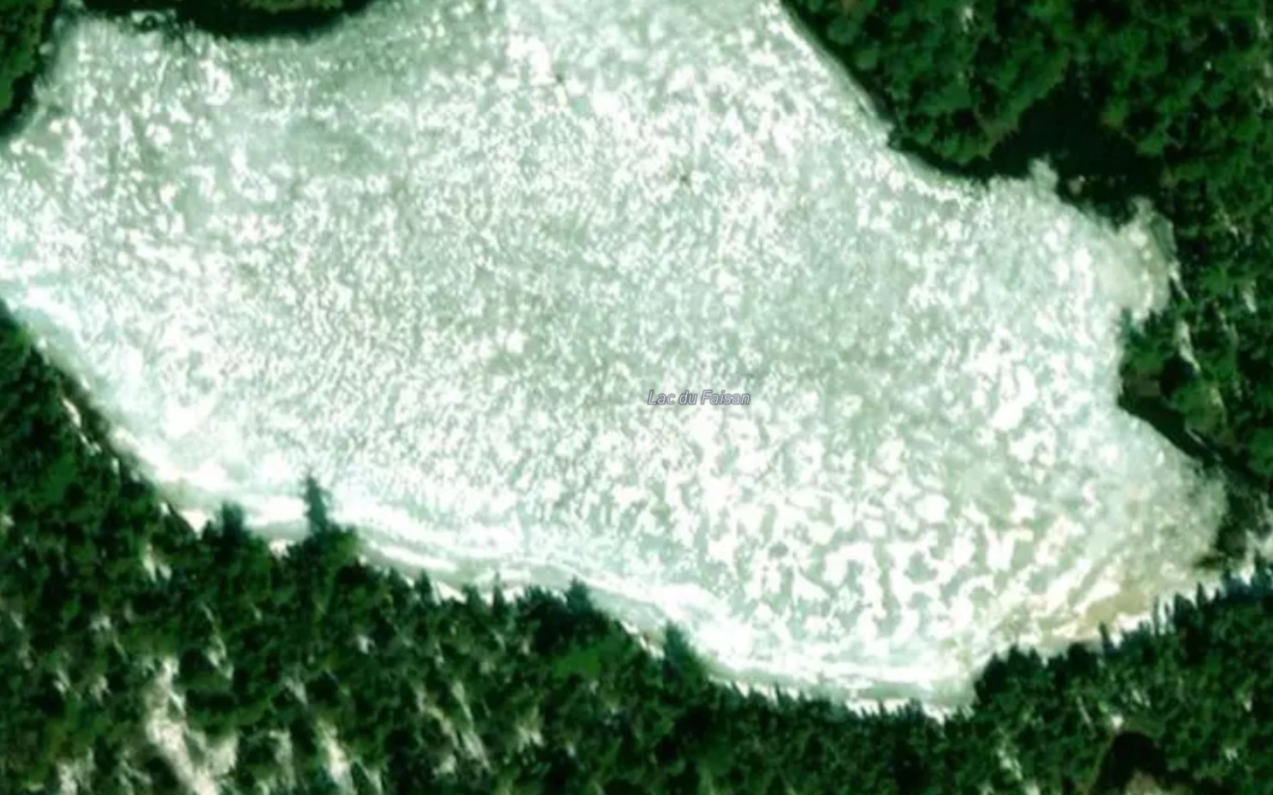 Satellite map of the Lac du Faisan