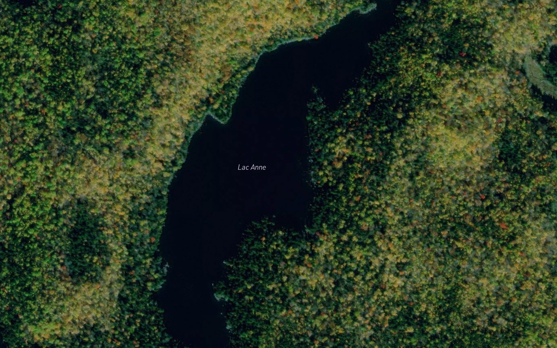 Satellite map of the Lac Anne