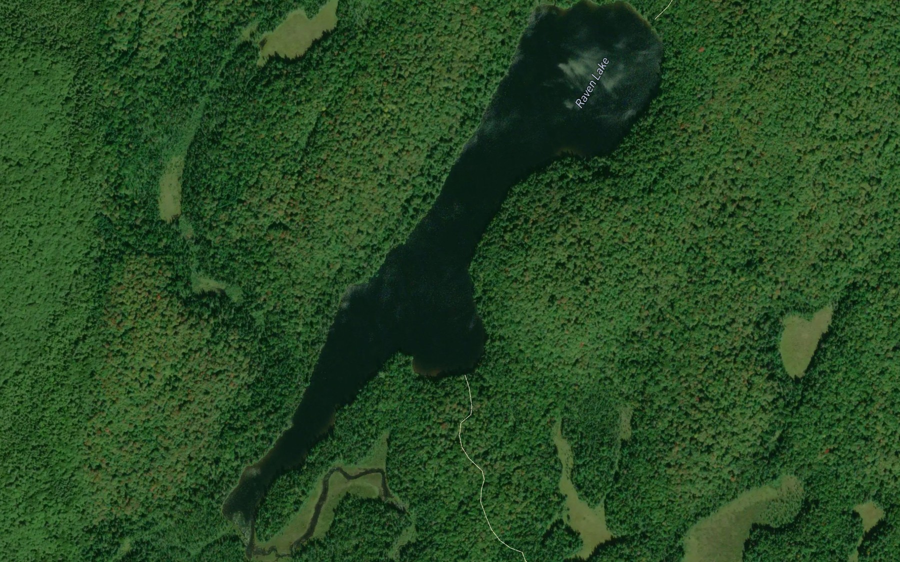 Satellite map of the Raven Lake