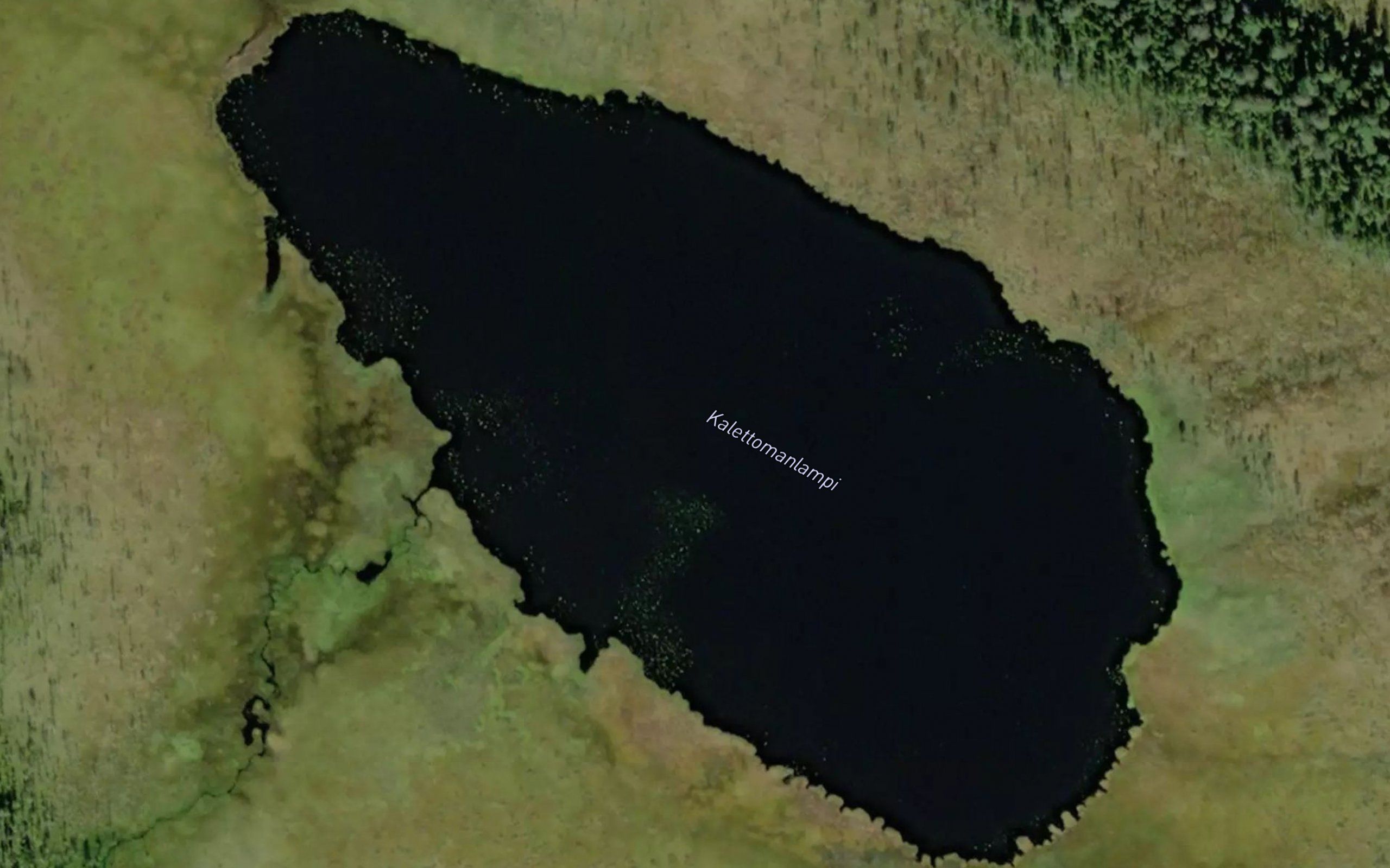 Kalettomanlampi
